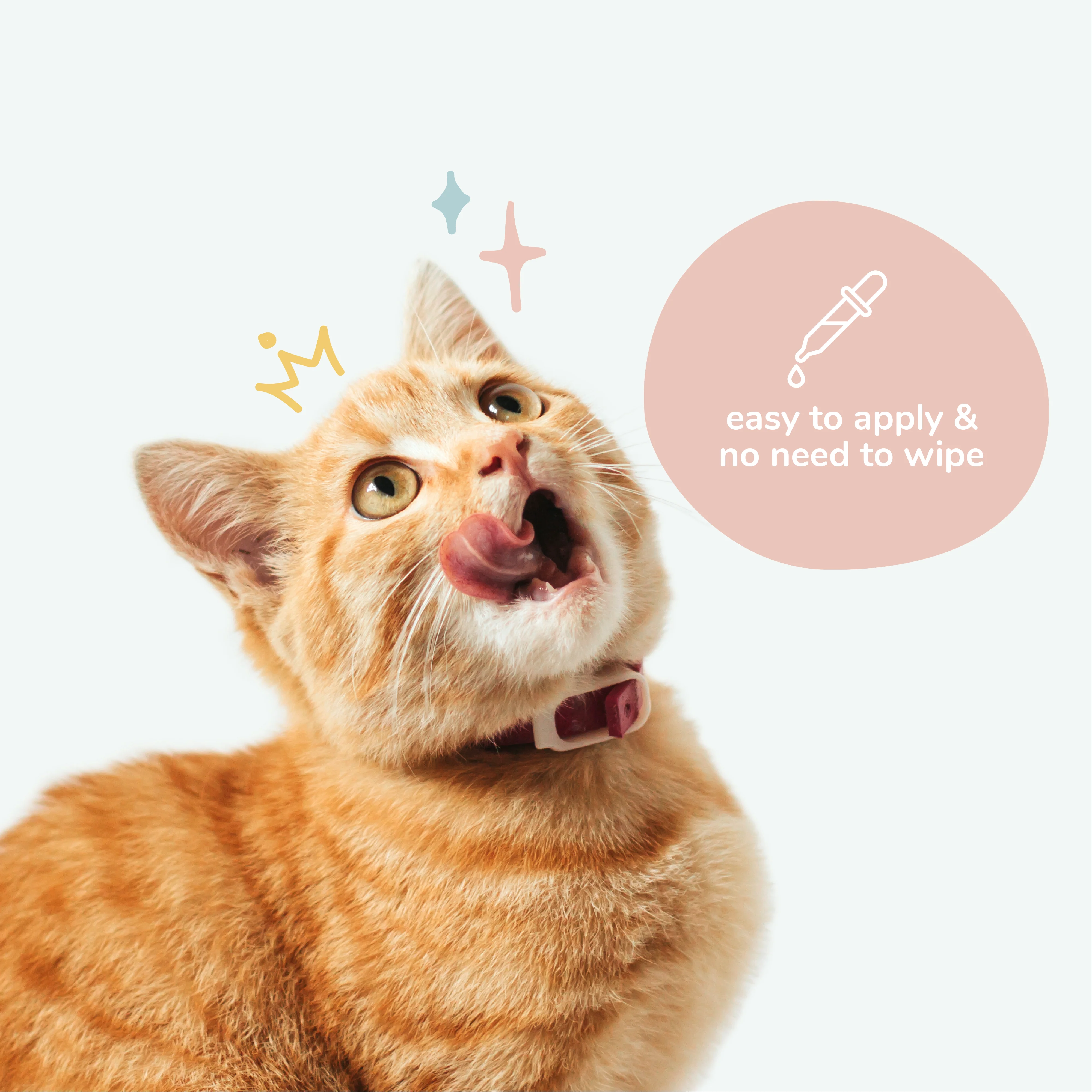 Kitty Ears - Leave-In Cat Ear Cleaner - Image 4