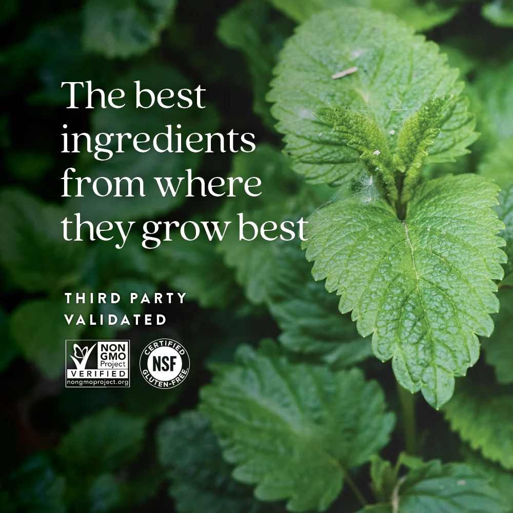 Lemon Balm Force™ - Image 5