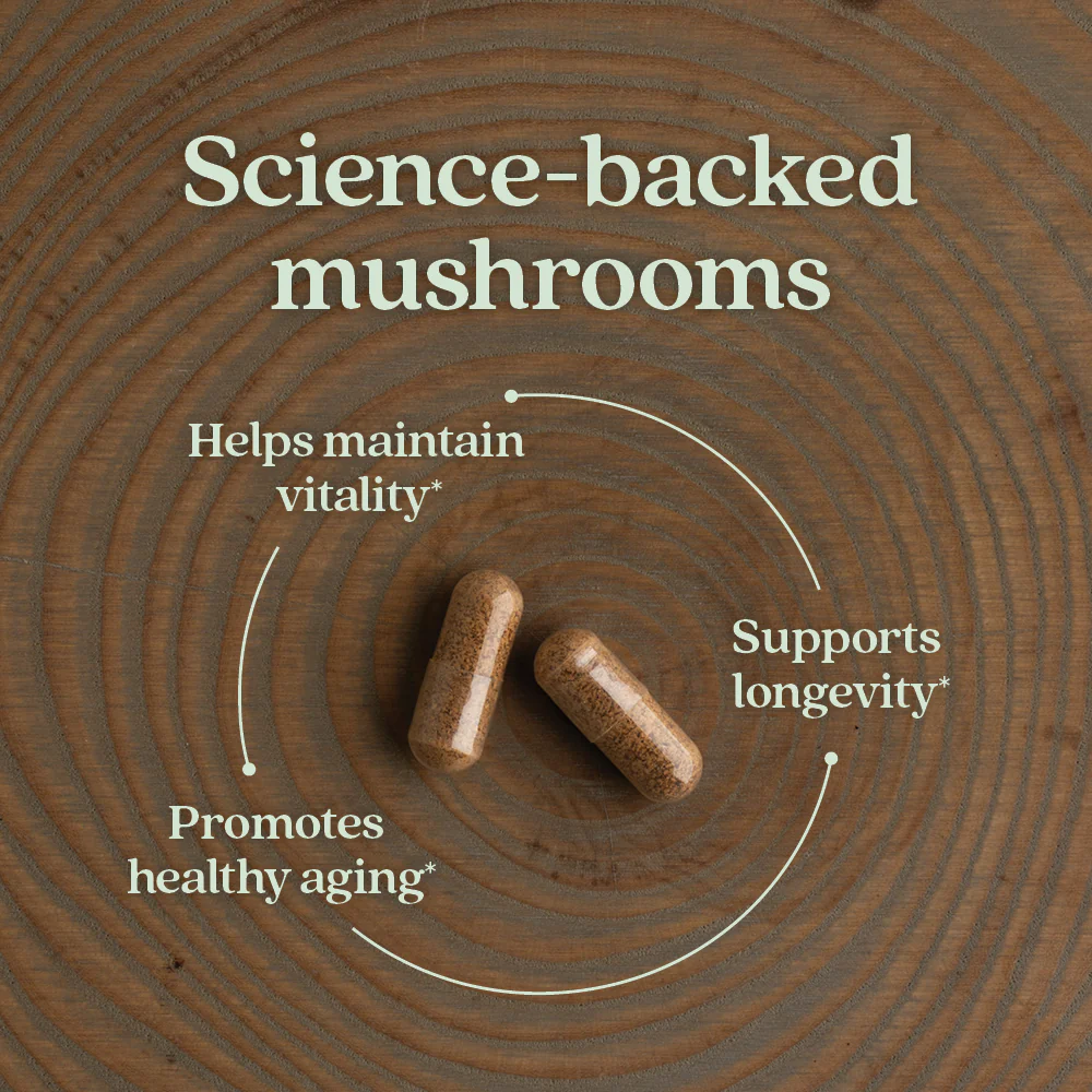Healthy Aging, Reishi Mushroom - Image 8