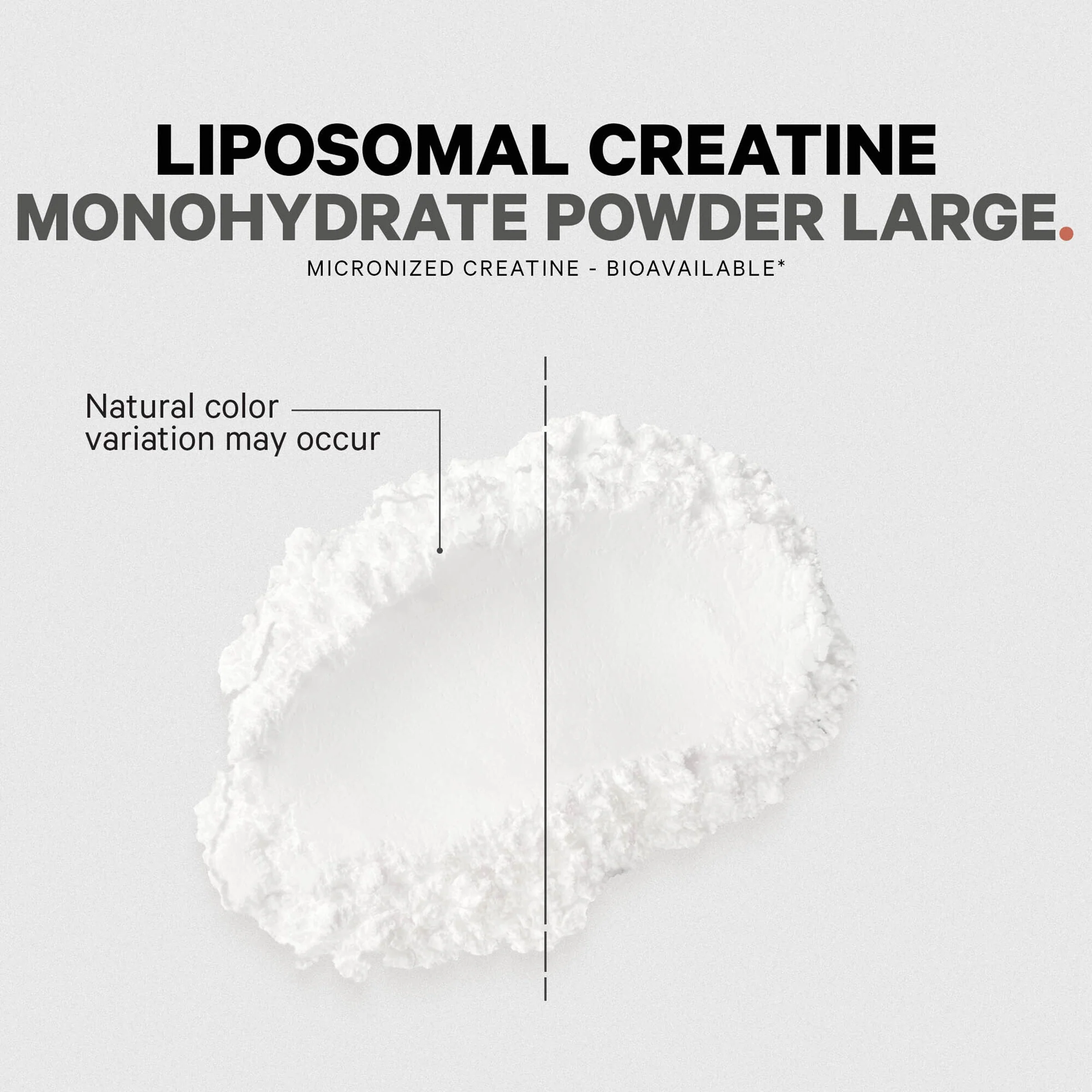 Liposomal Creatine Monohydrate Large - Image 5