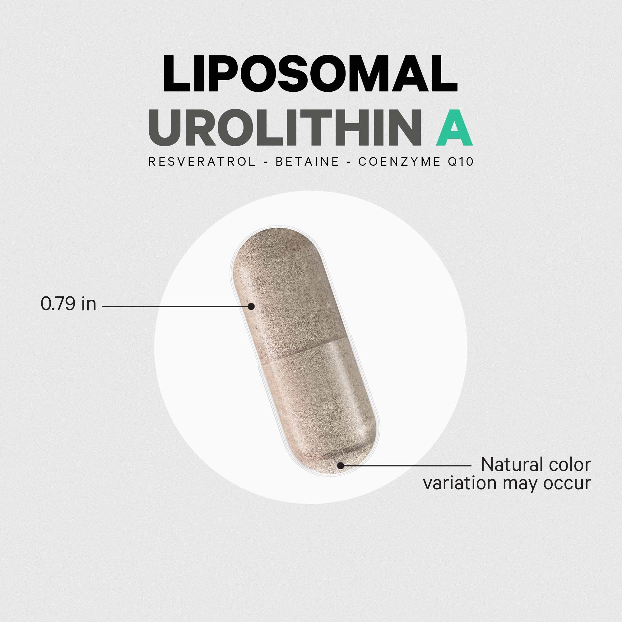 Liposomal Urolithin A - Image 5