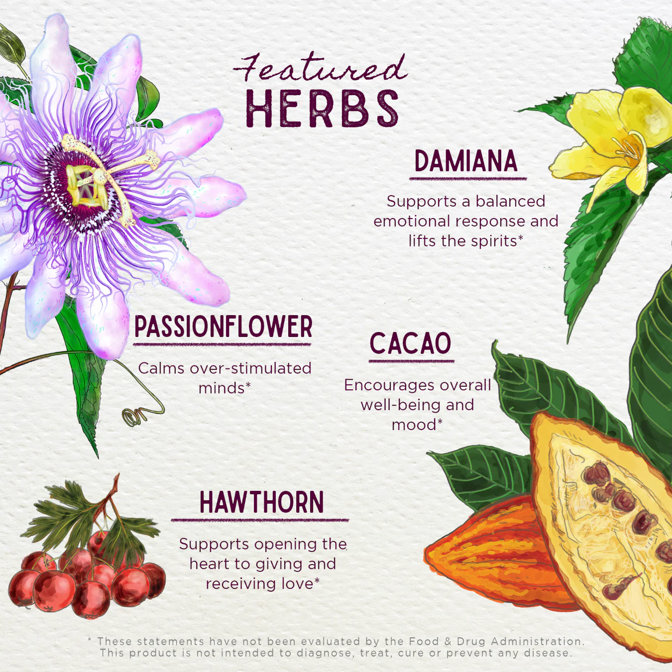 Liquid Bliss Peace - Herbal Supplement - Image 4
