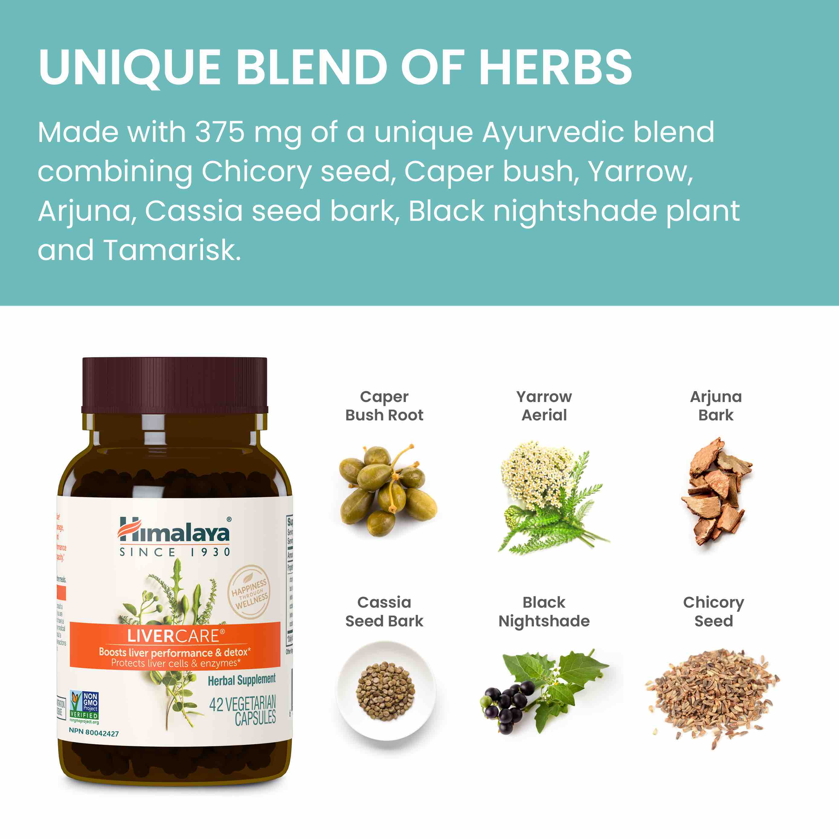 Livercare - Image 5