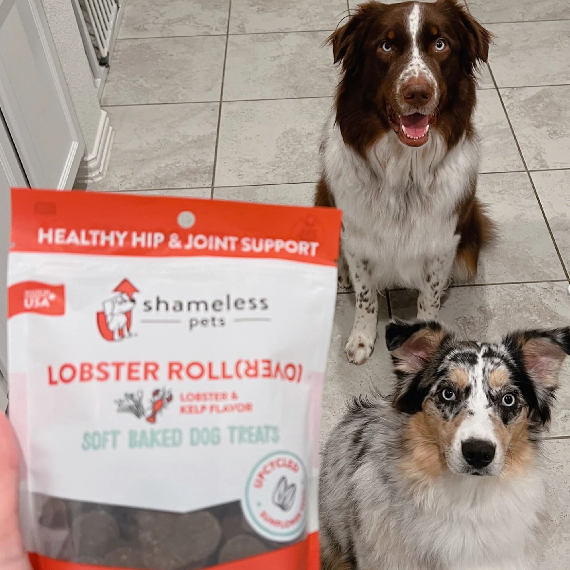 Lobster Rollover Soft-Baked Dog Treats - Image 3