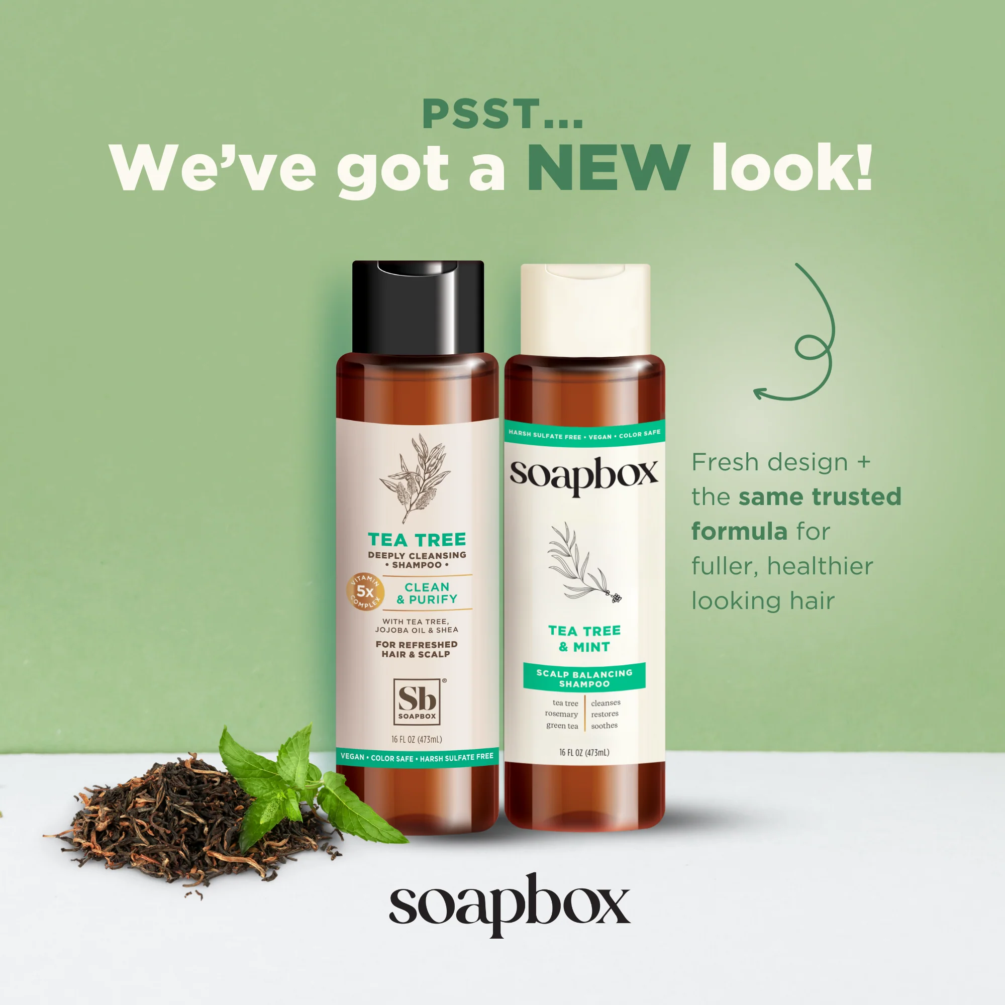 Tea Tree & Mint Scalp Balancing Shampoo - Image 2
