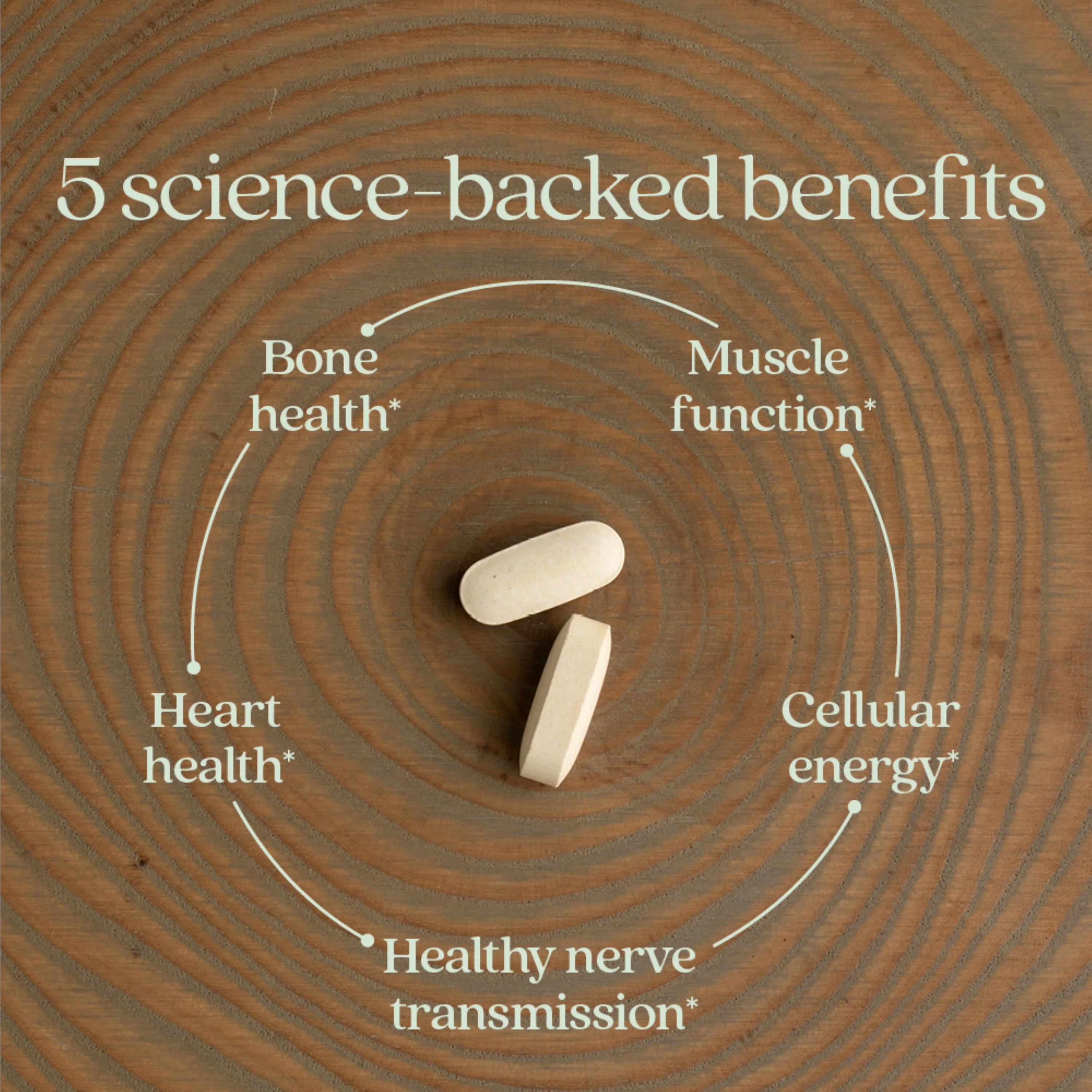 Magnesium Complex Supplement - Image 7