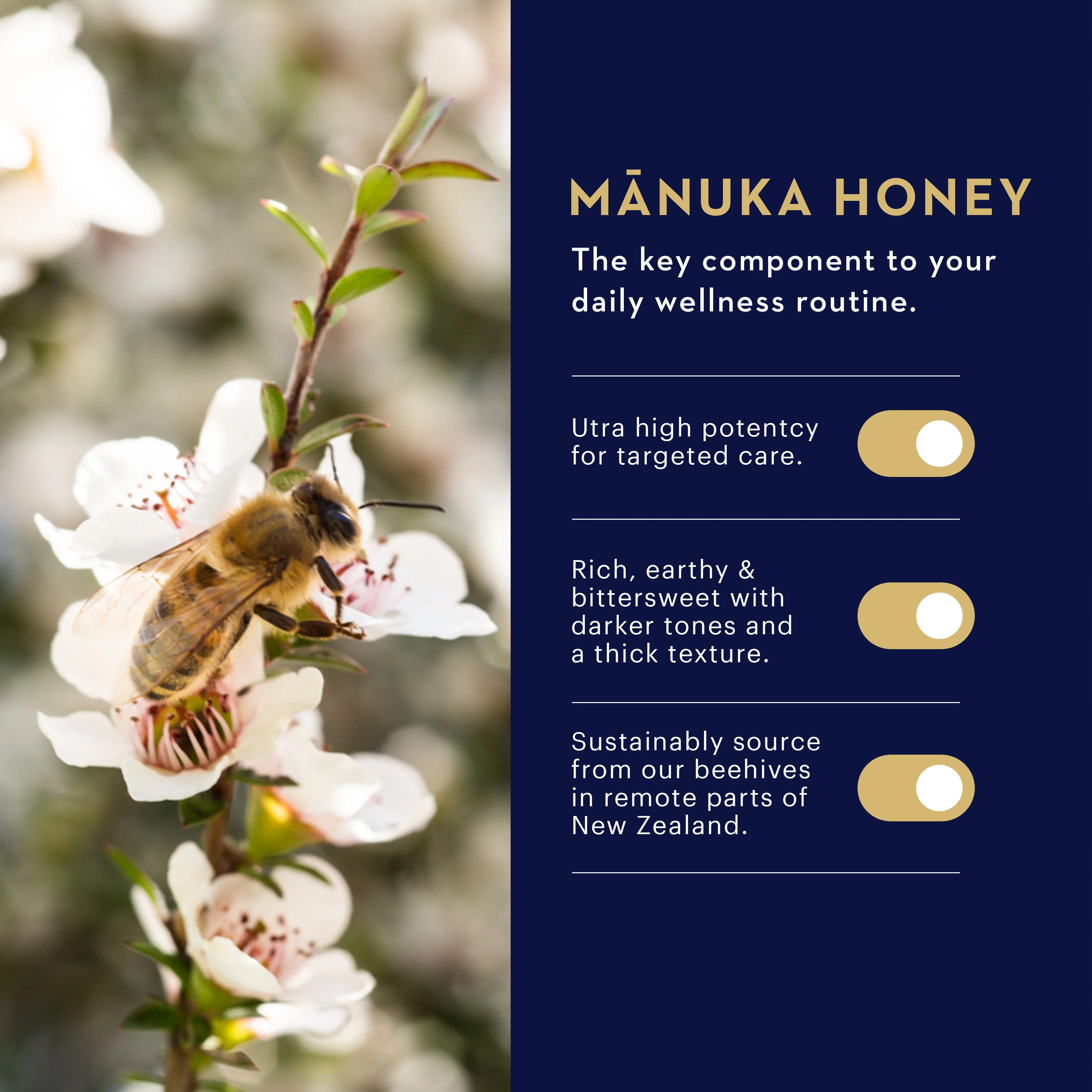 Manuka Honey and Propolis Throat Spray - Image 7