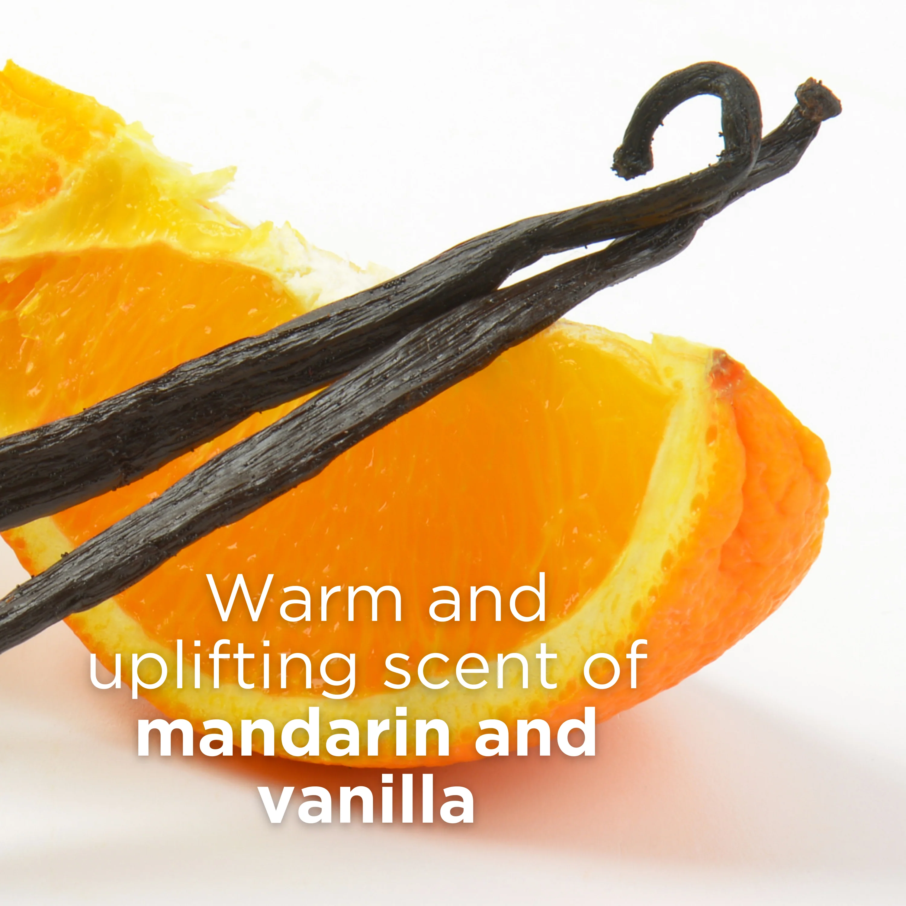 Moisture Rich Argan Oil & Shea Conditioner - Image 4