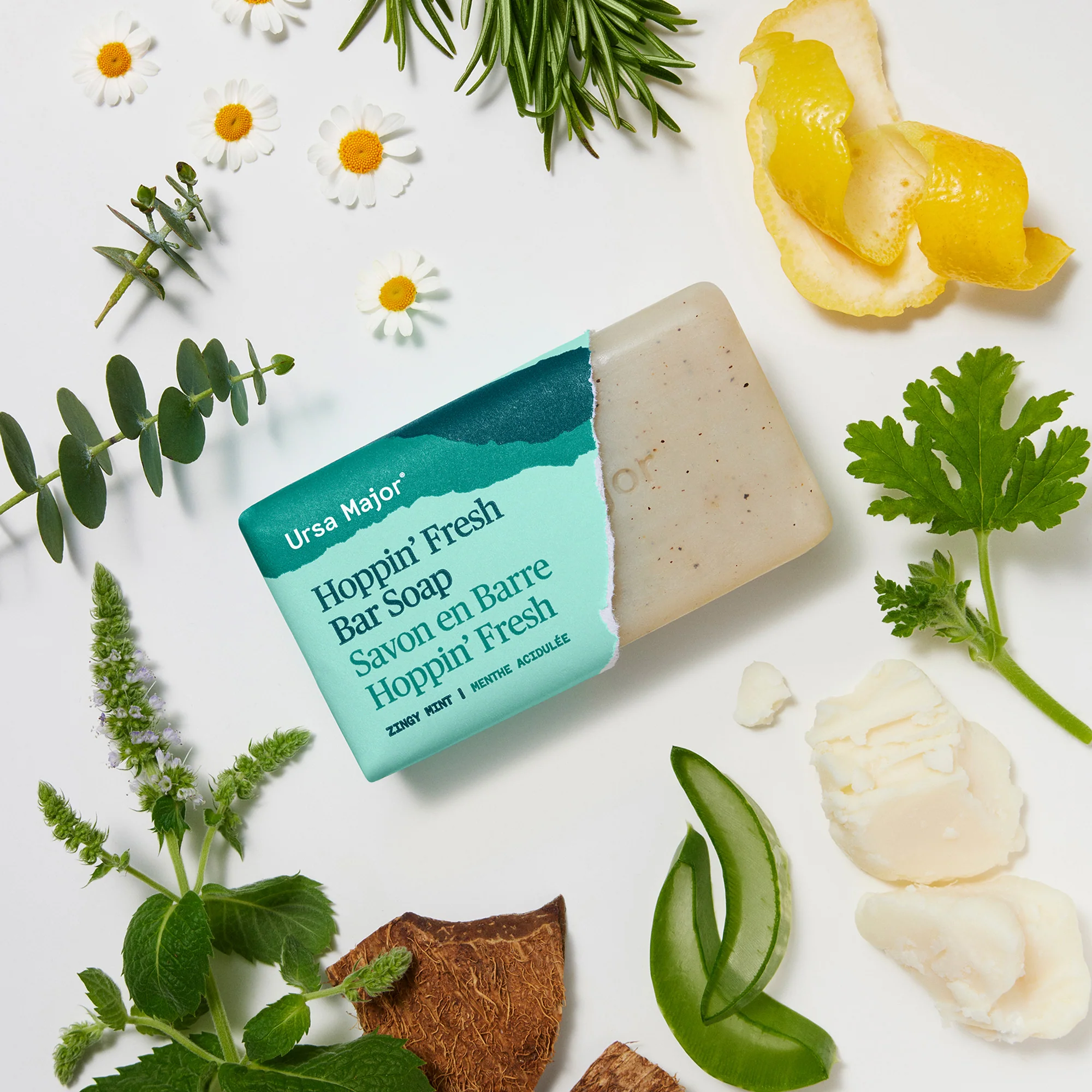 Hoppin' Fresh Bar Soap - Image 6