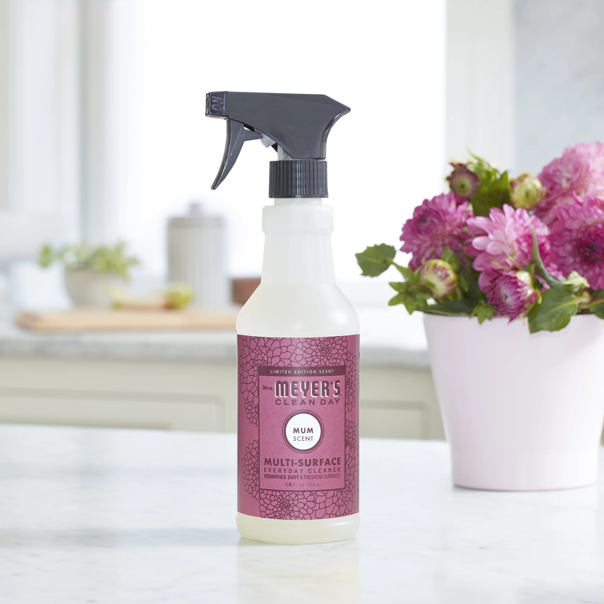 Multi-Surface Cleaner - Image 29
