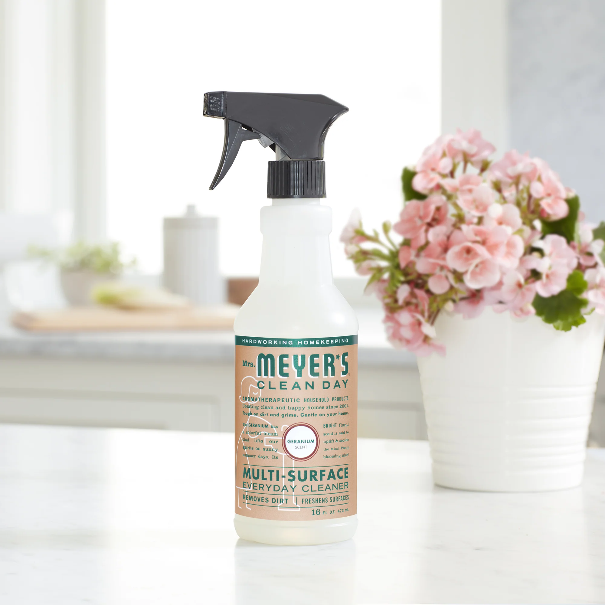 Multi-Surface Cleaner - Image 4