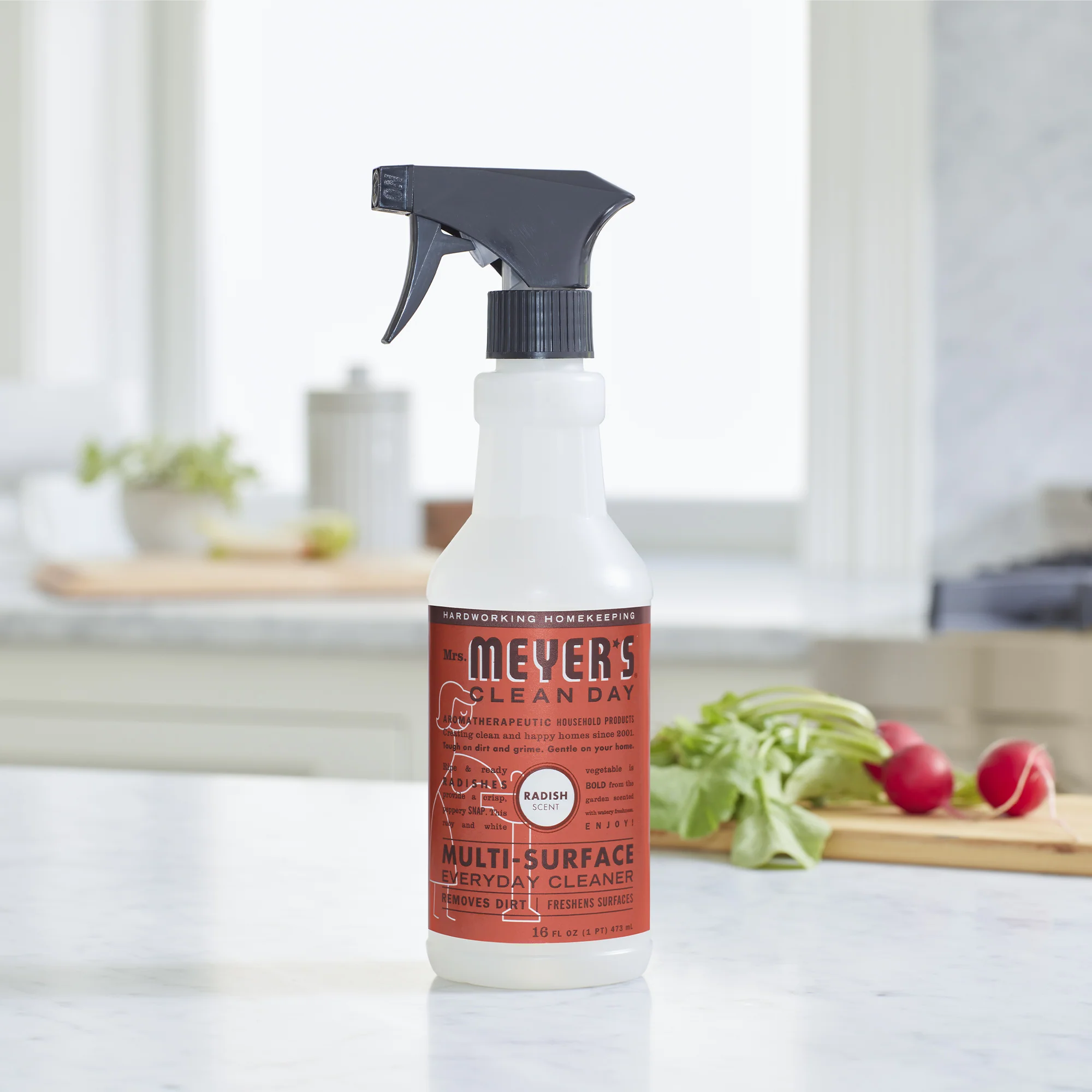 Multi-Surface Cleaner - Image 84