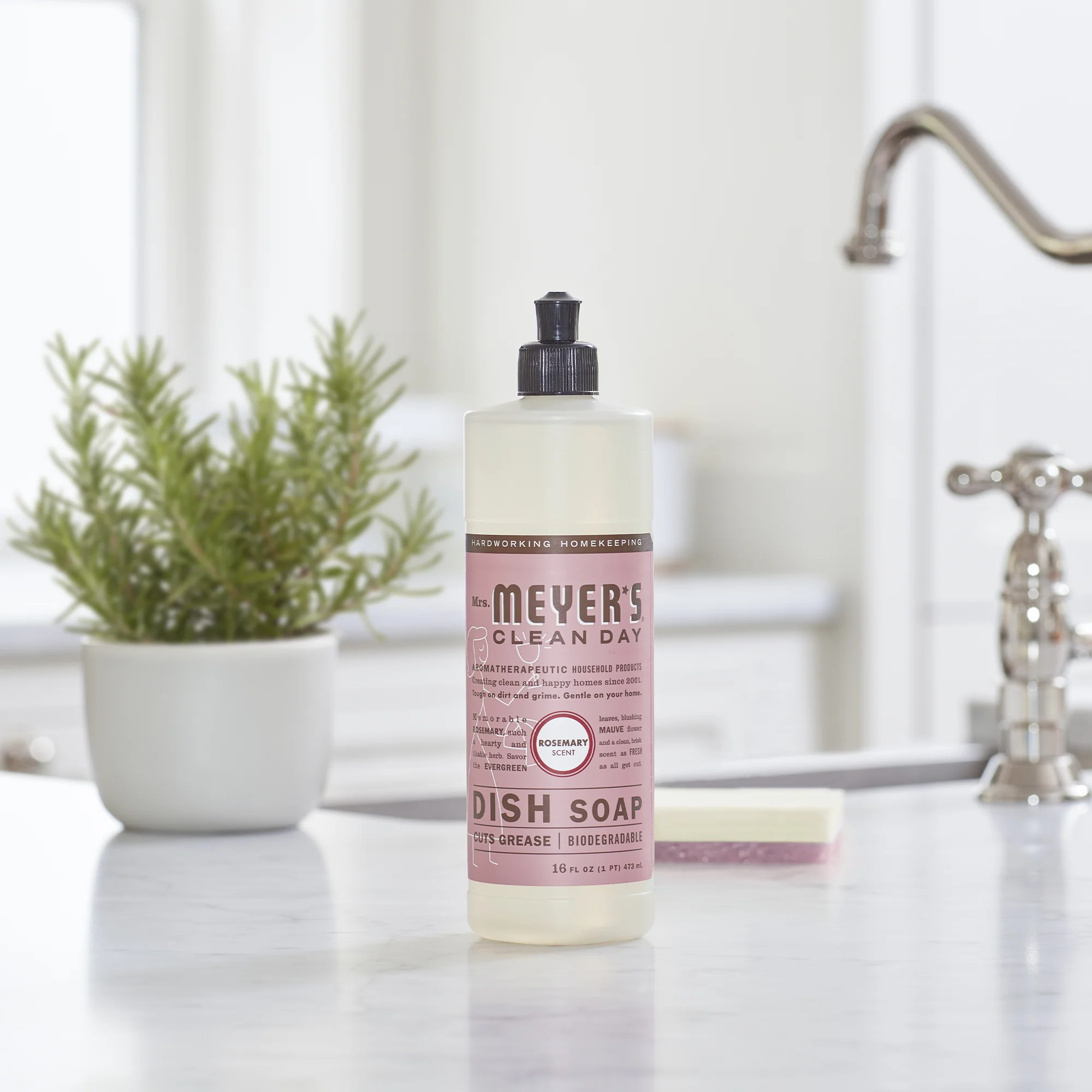 Dish Soap - Image 18