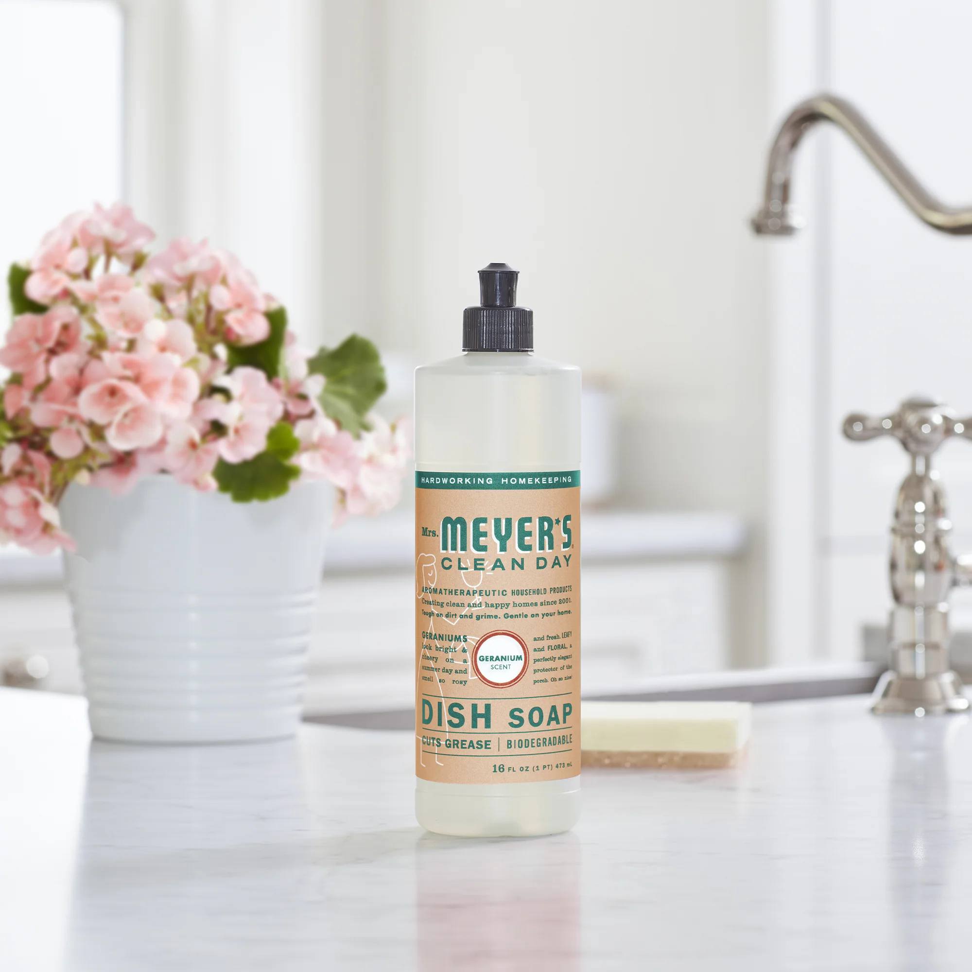 Dish Soap - Image 21