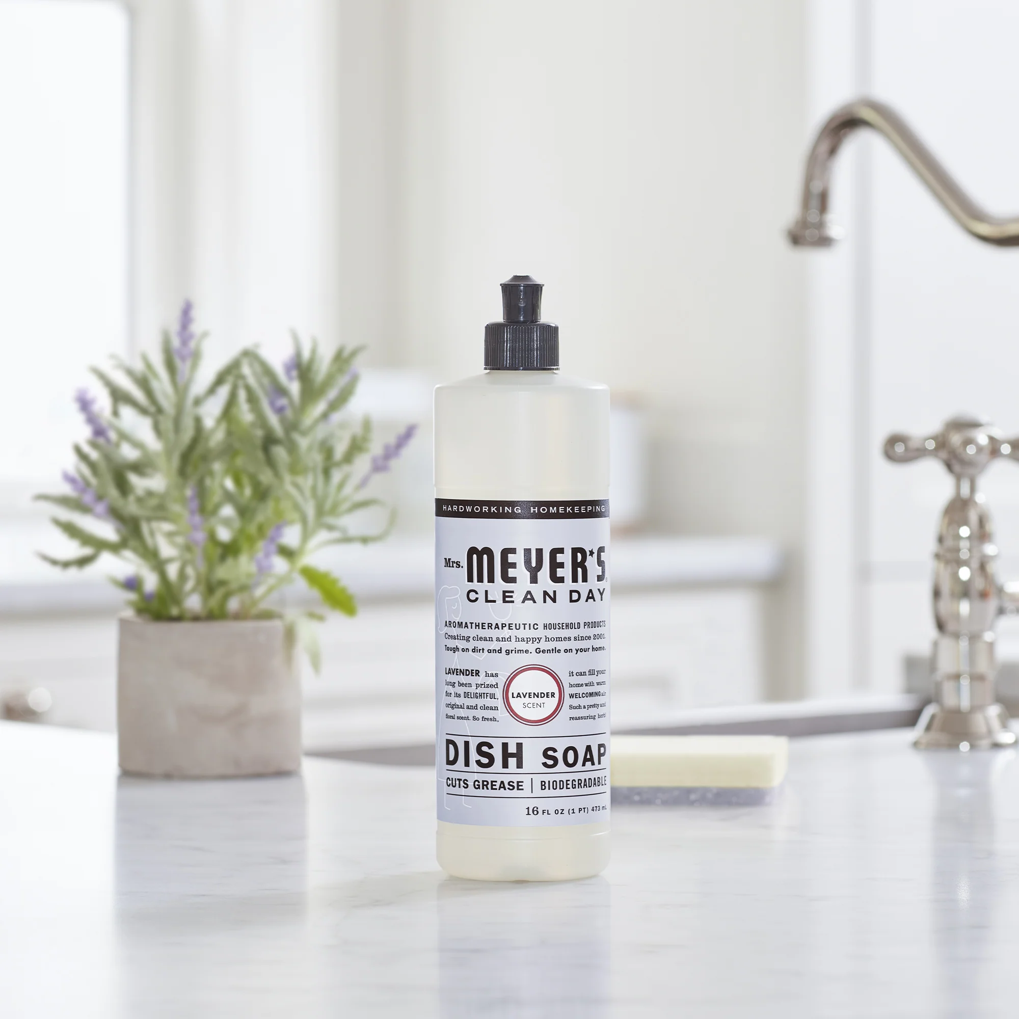 Dish Soap - Image 58