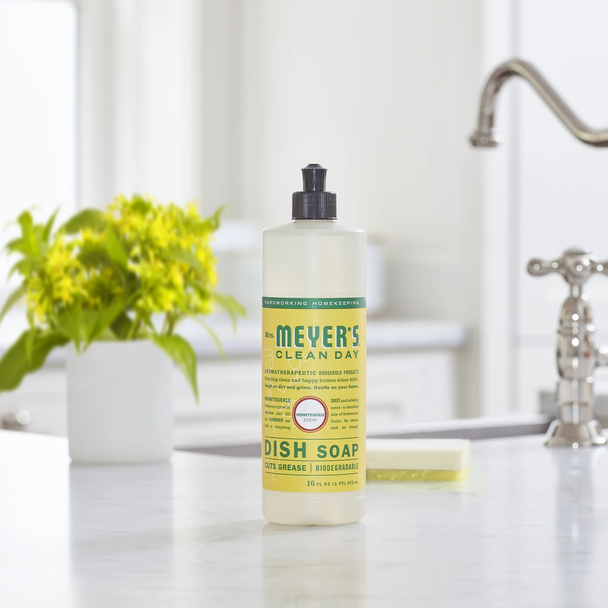 Dish Soap - Image 61
