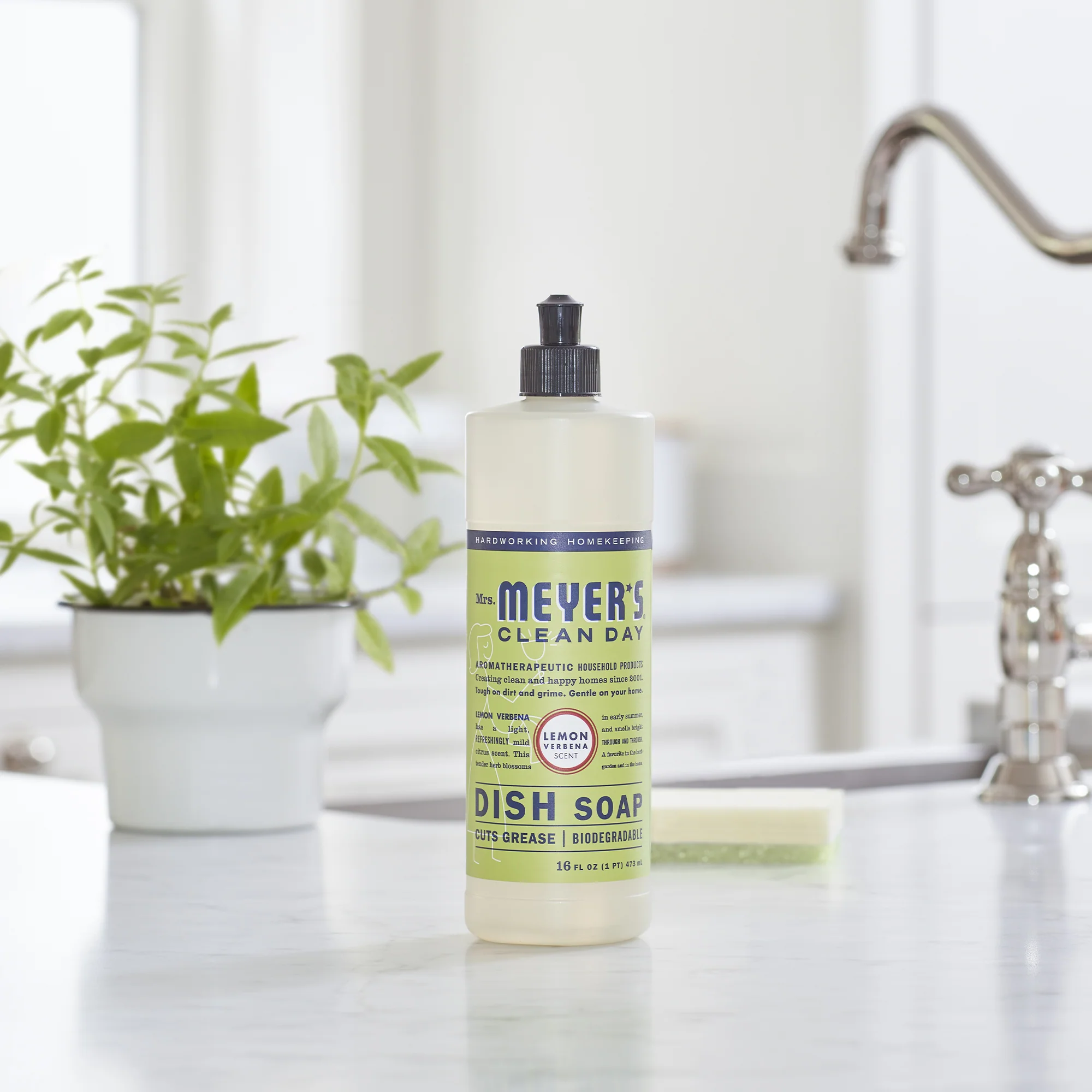 Dish Soap - Image 64