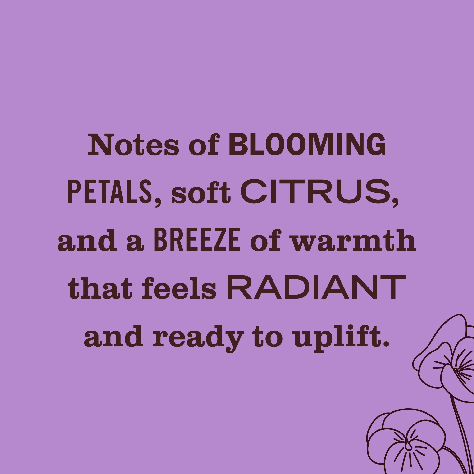 Scented Oil Refills - Image 33