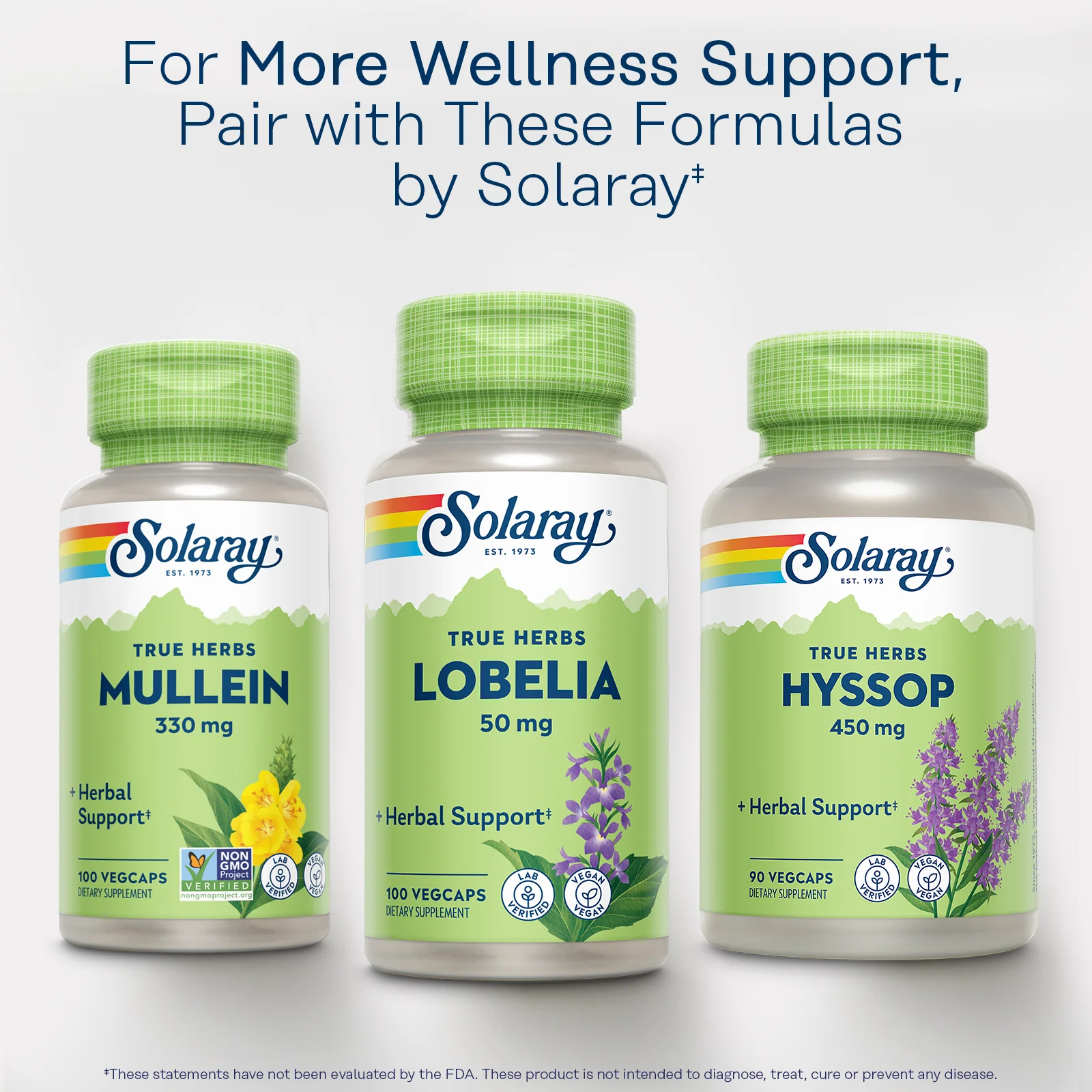 Mullein, 330 mg - Image 4