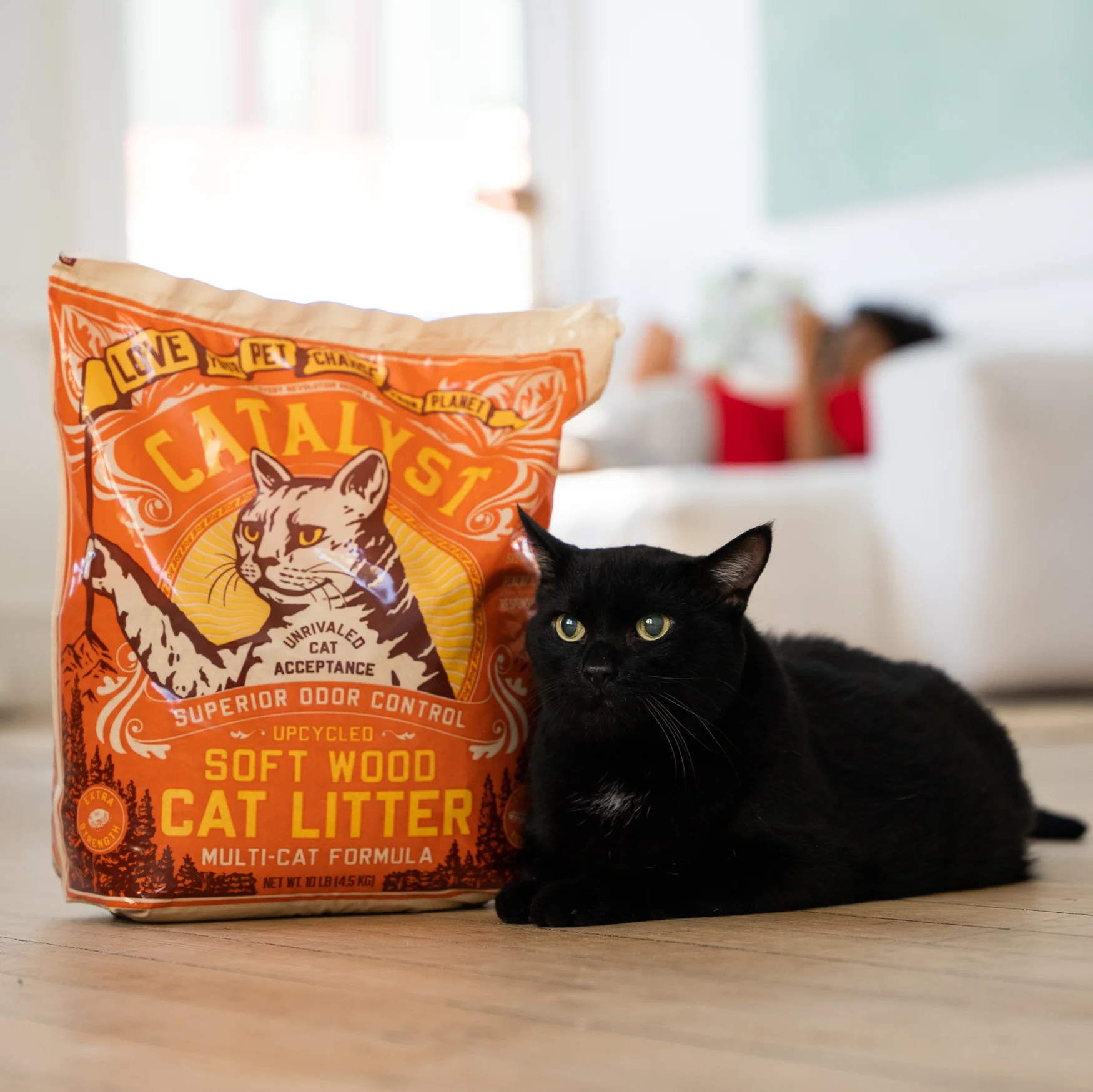 Multi-Cat Upcycled Natural Pine Clumping Cat Litter - Image 10