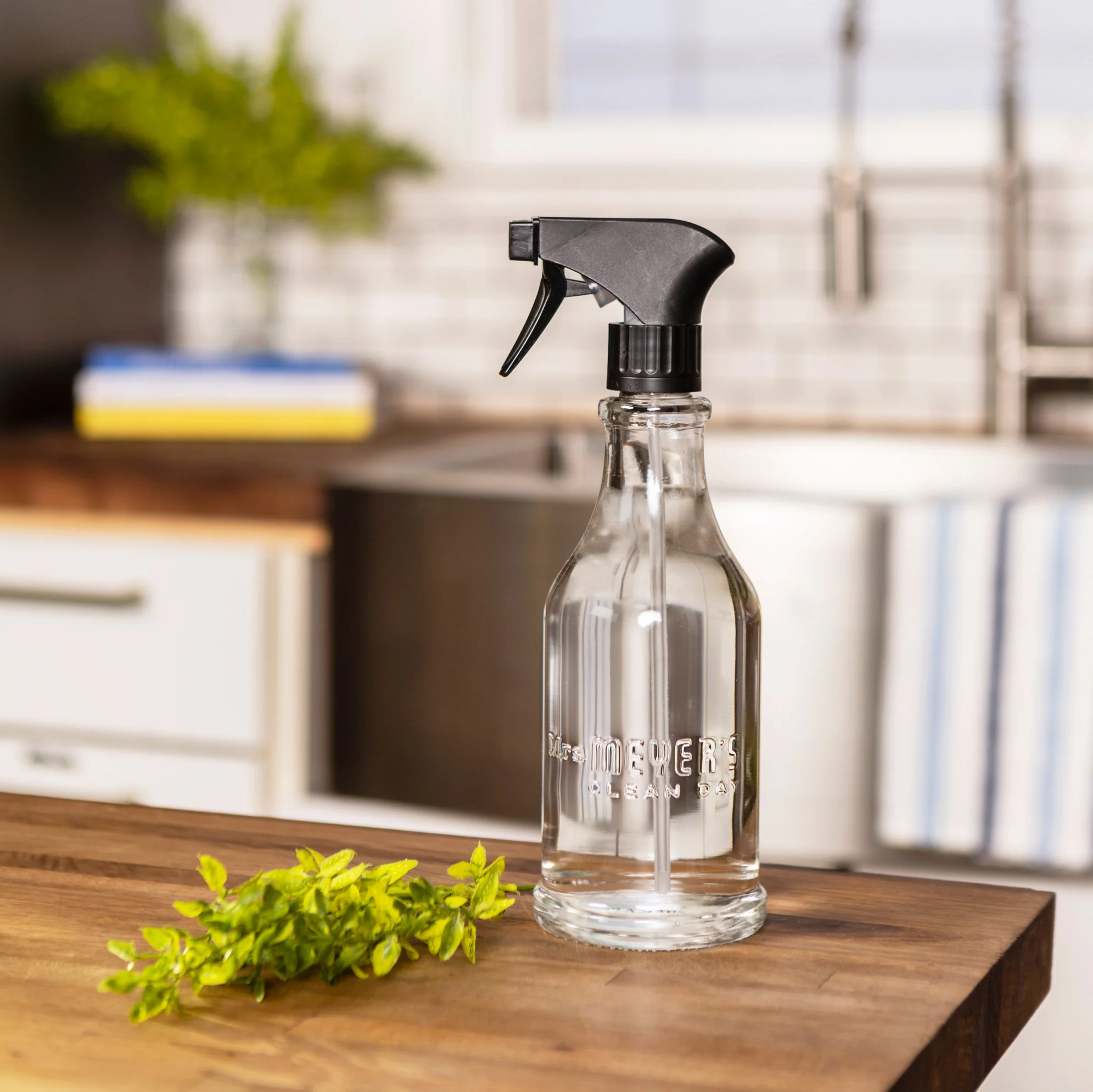 Multi-Surface Concentrate Starter Set - Image 4