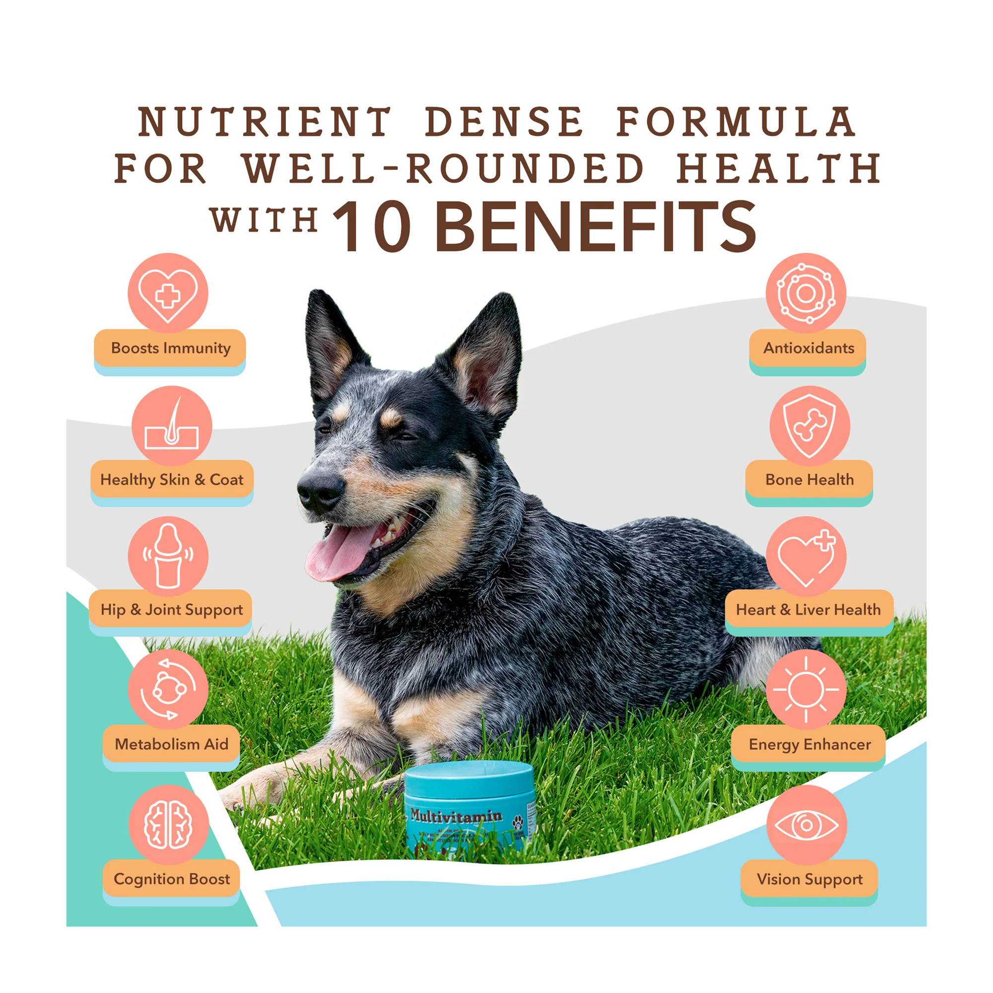 Multivitamin for Dogs, Soft Chews - Image 5
