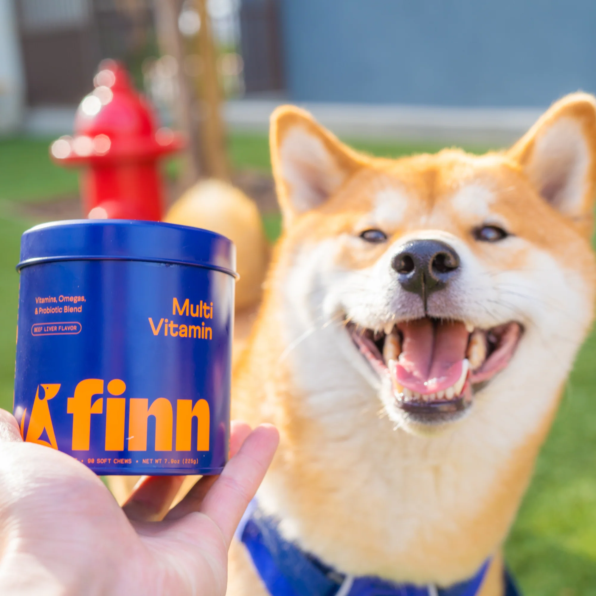 Multivitamin Supplement for Dogs - Image 9