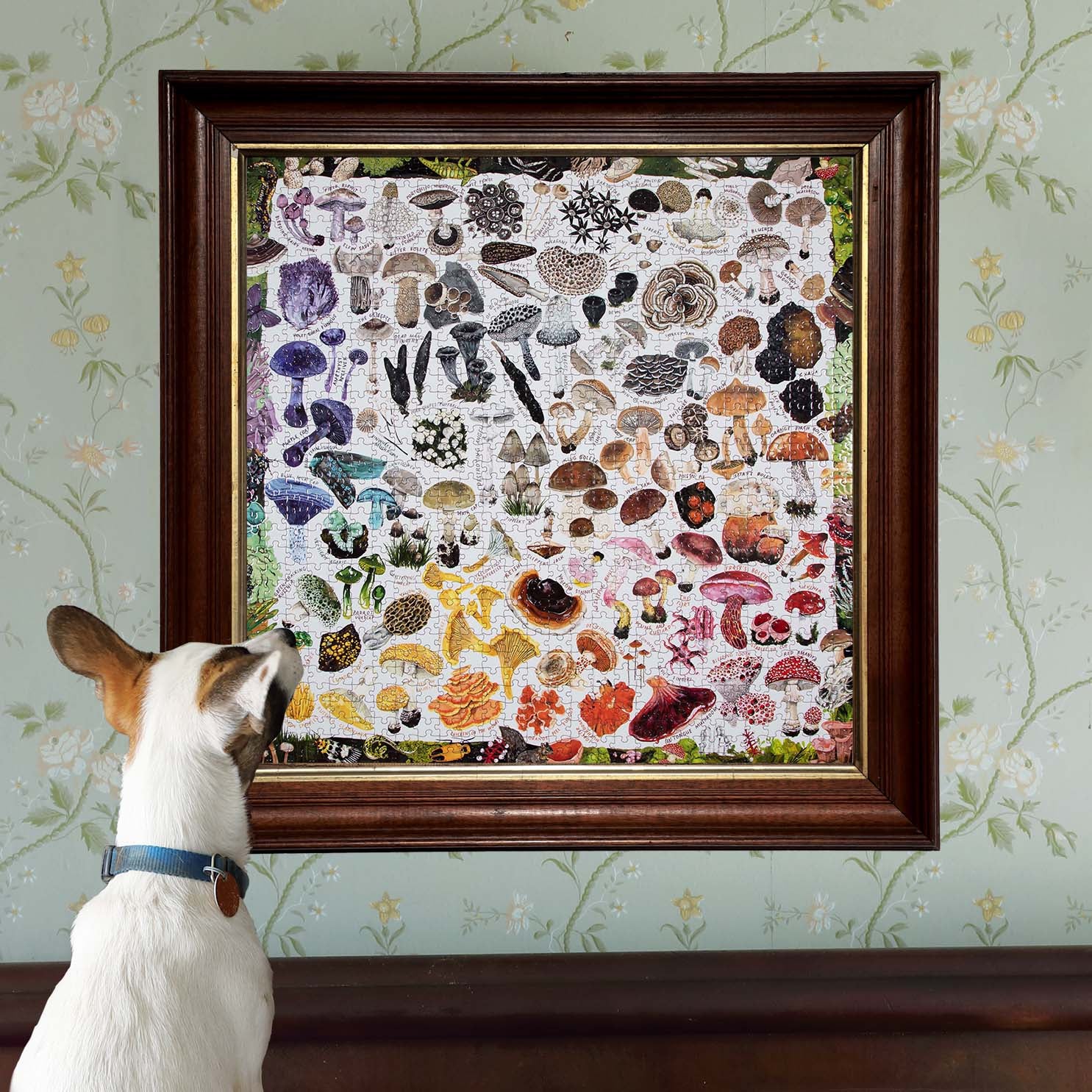 Mushroom Rainbow 1000 Piece Puzzle - Image 3