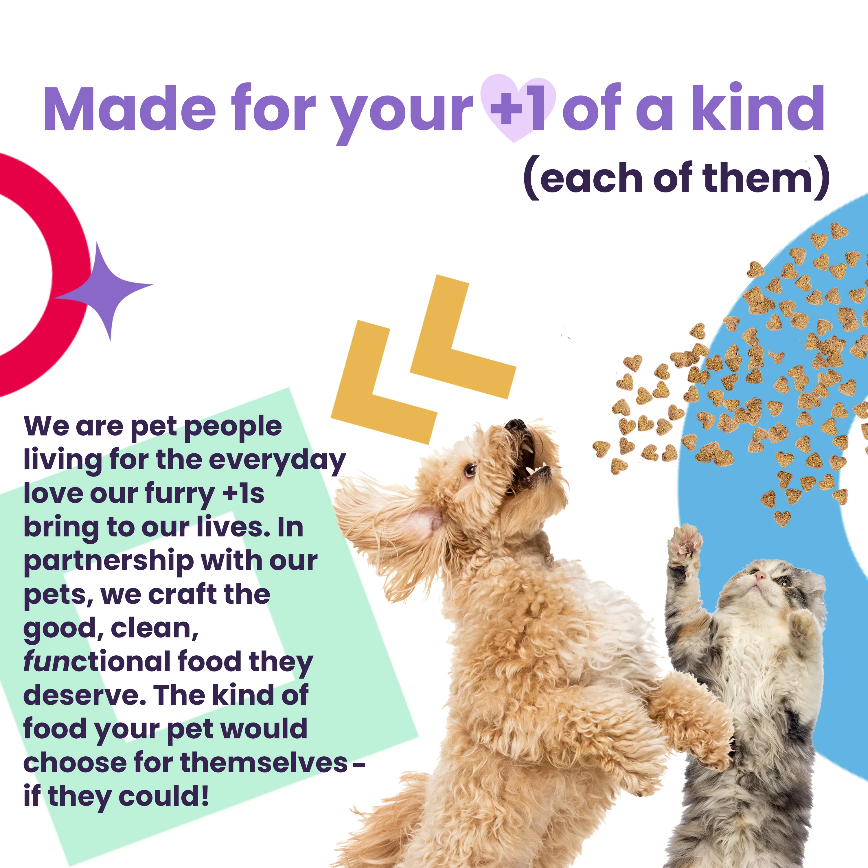 Naked Essentials Grain-Free Lamb and Bison Recipe Dry Dog Food - Image 5