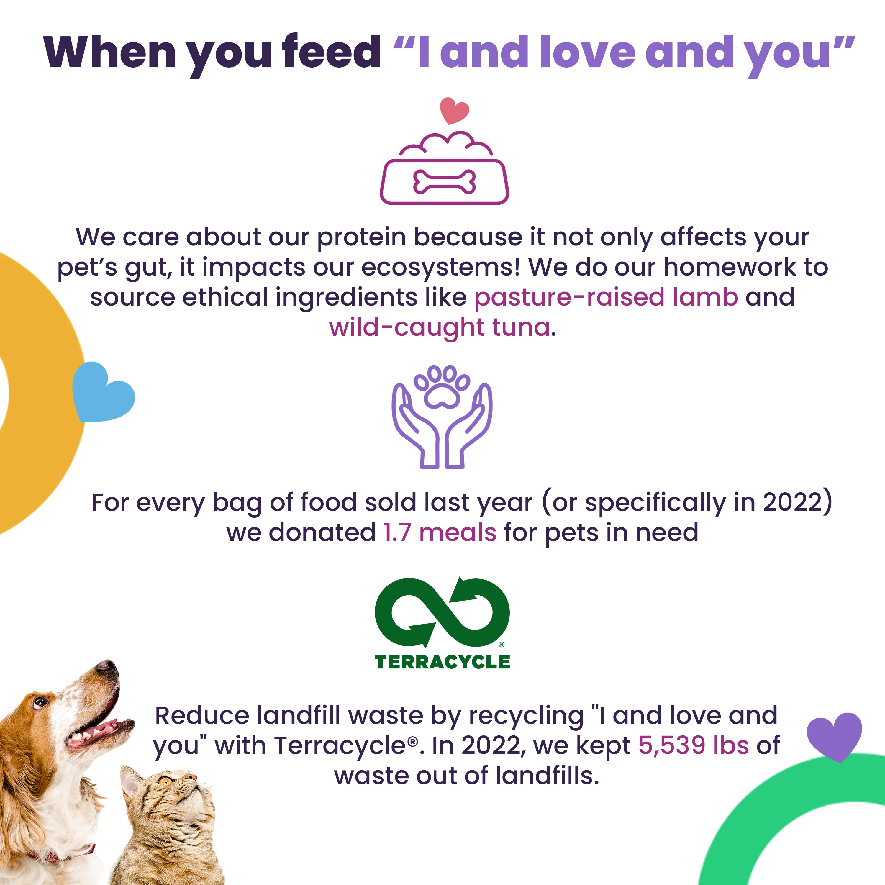 Naked Essentials Grain-Free Lamb and Bison Recipe Dry Dog Food - Image 6
