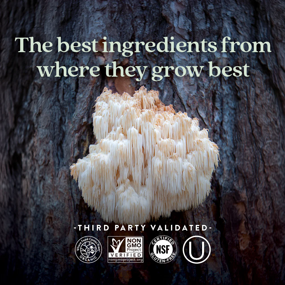 Mind Forceâ„¢, Lion's Mane Mushroom Blend for Mental Clarity - Image 6