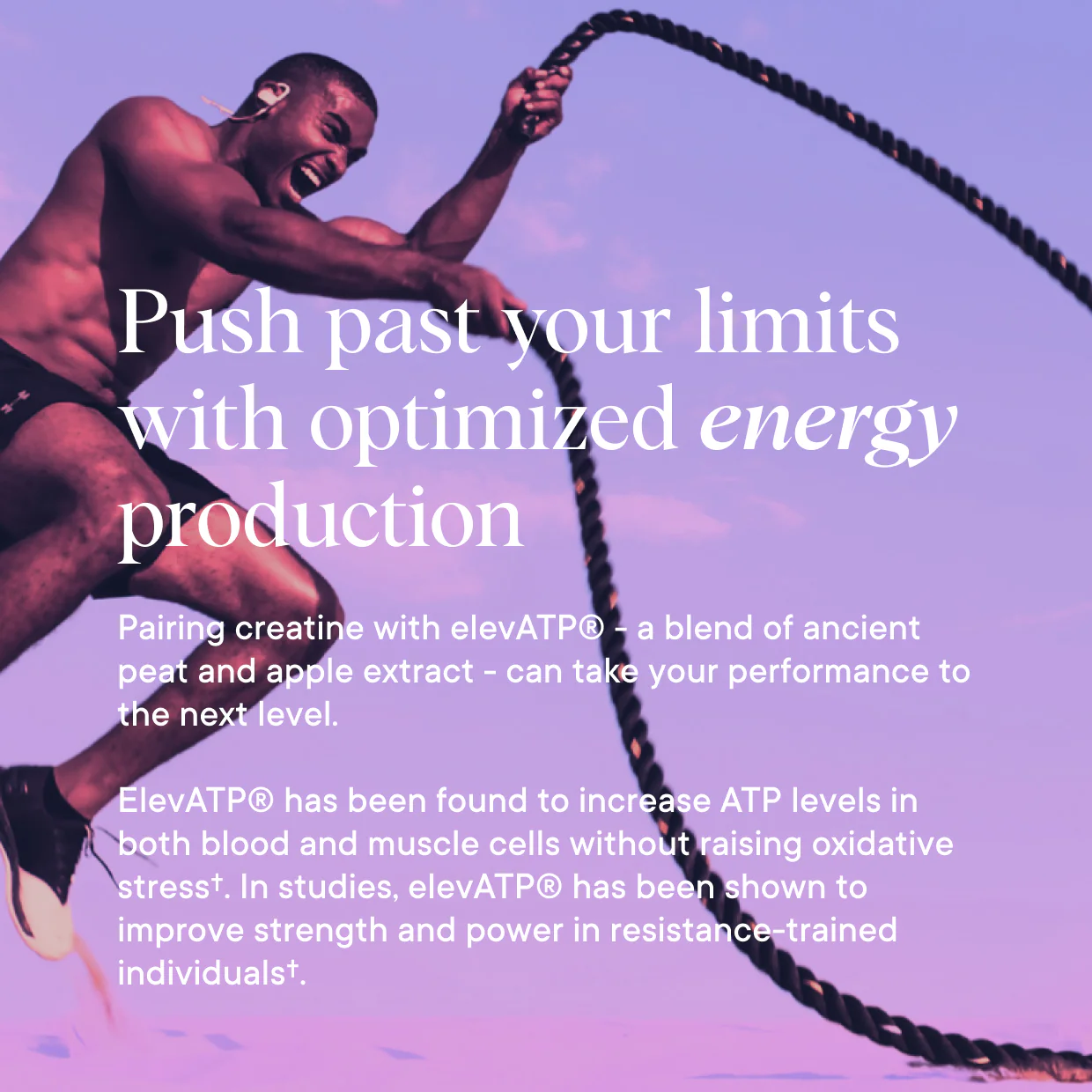 Next-Generation Creatine Blend Supplement - Image 6