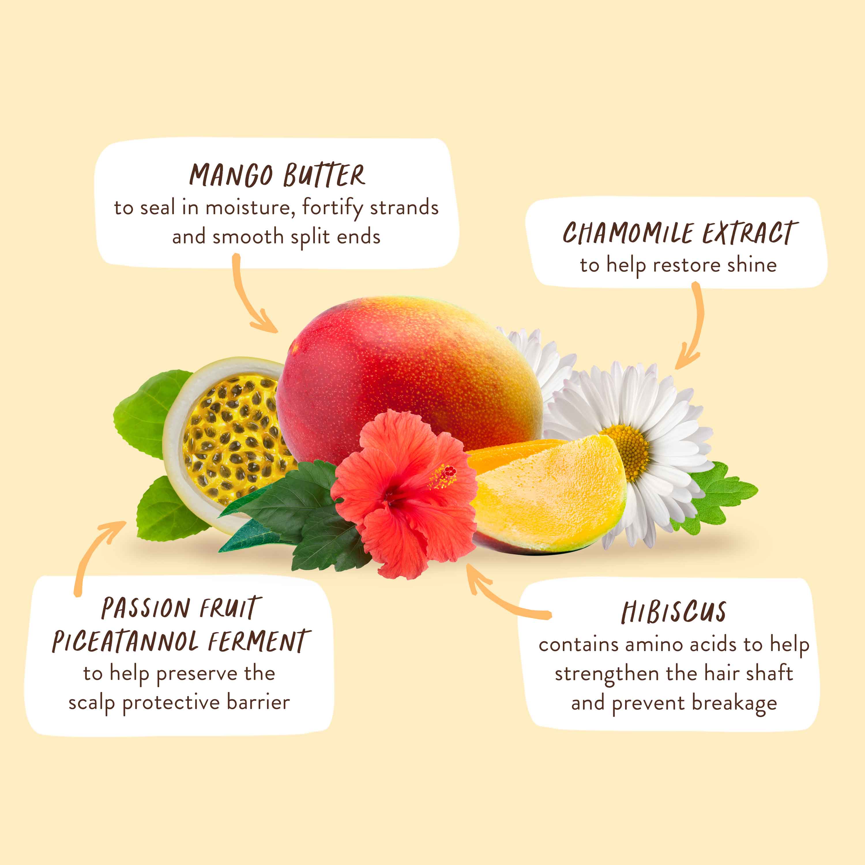 Nourishing Shampoo for Dry, Damaged Hair - Image 6