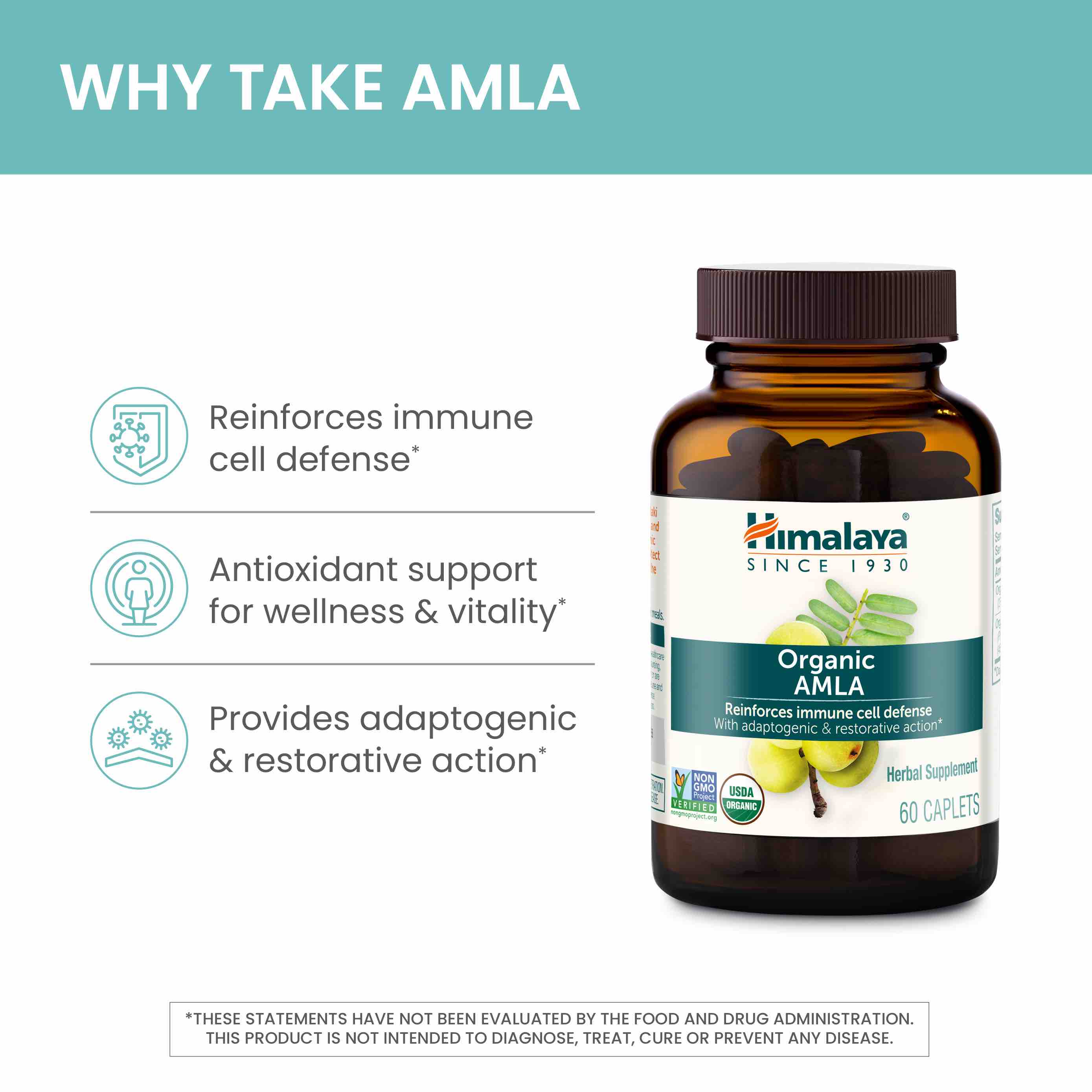 Organic Amla - Image 4