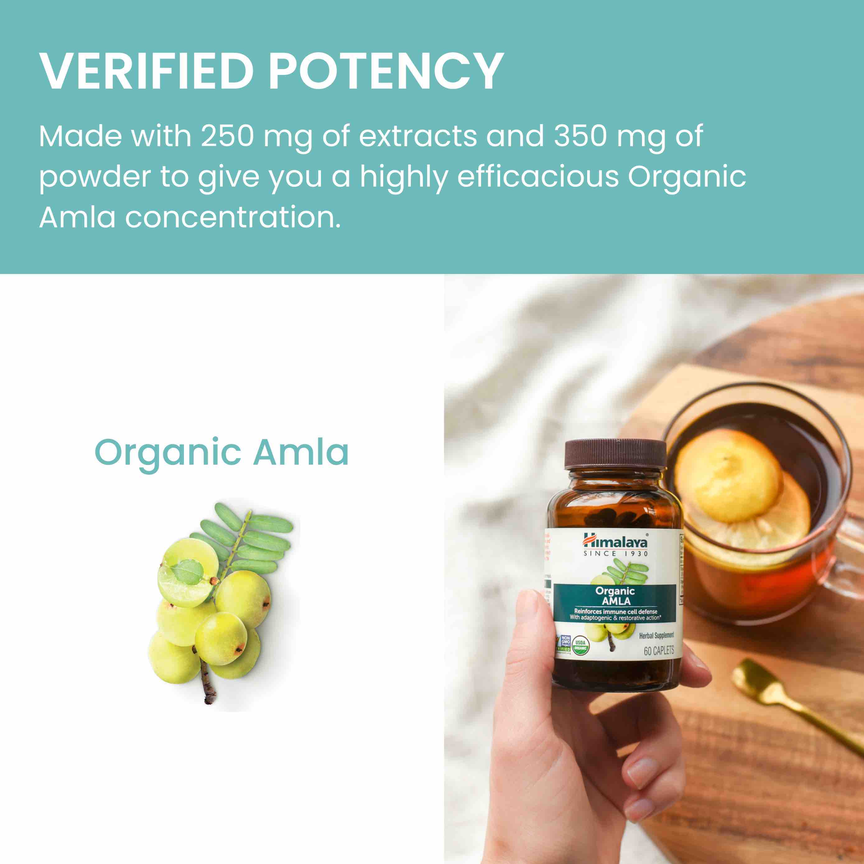 Organic Amla - Image 6