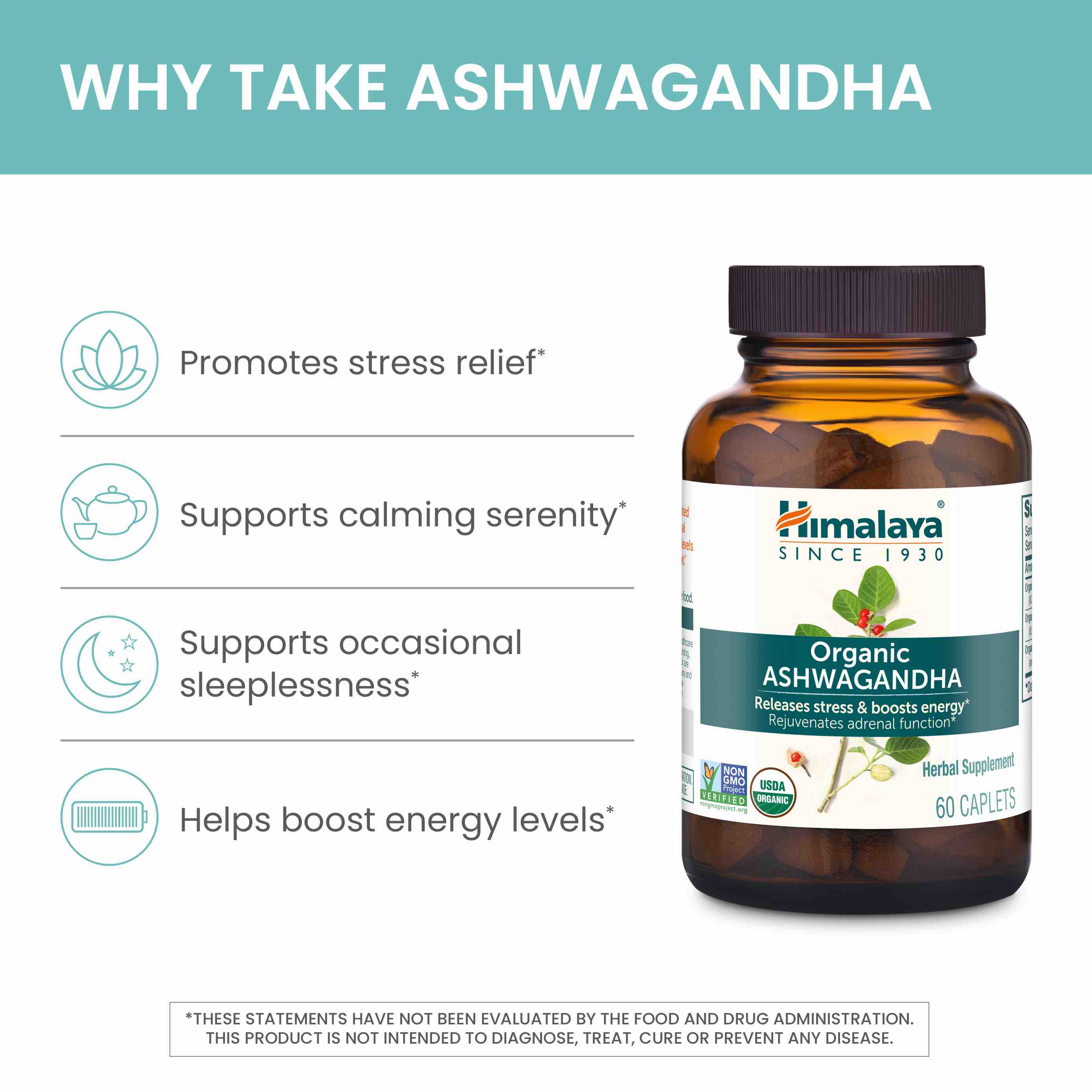 Organic Ashwagandha - Image 5
