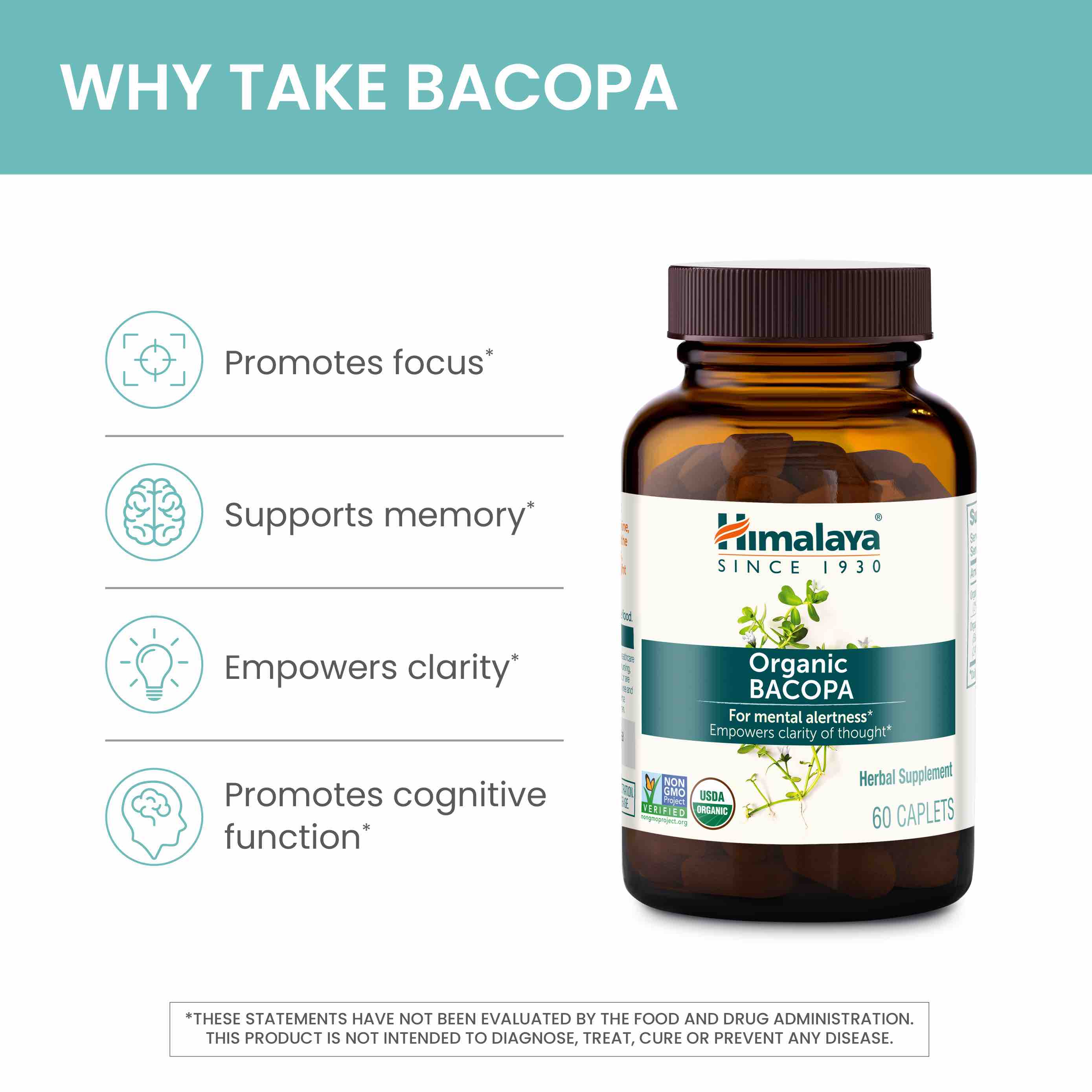 Organic Bacopa - Image 4