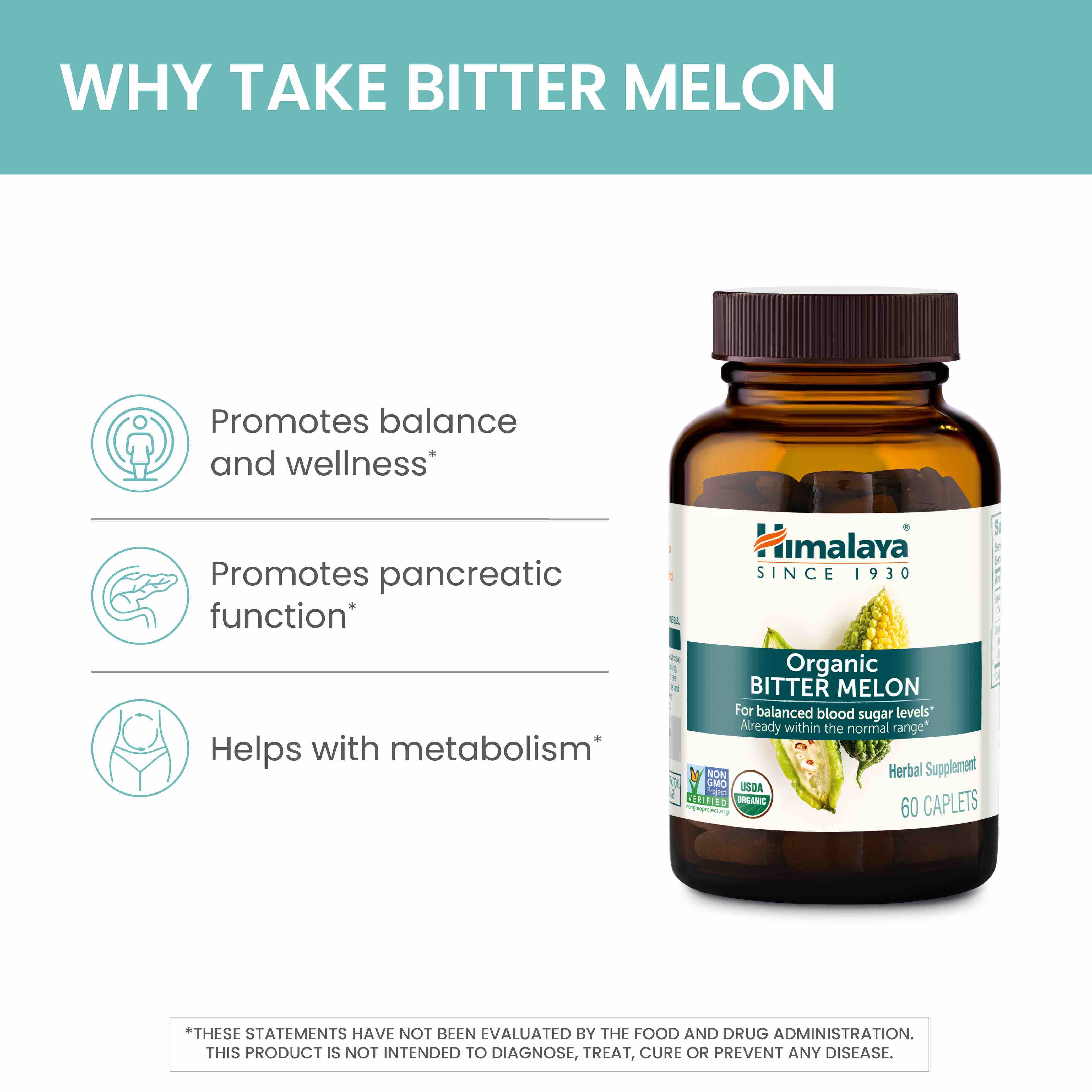 Organic Bitter Melon - Image 4