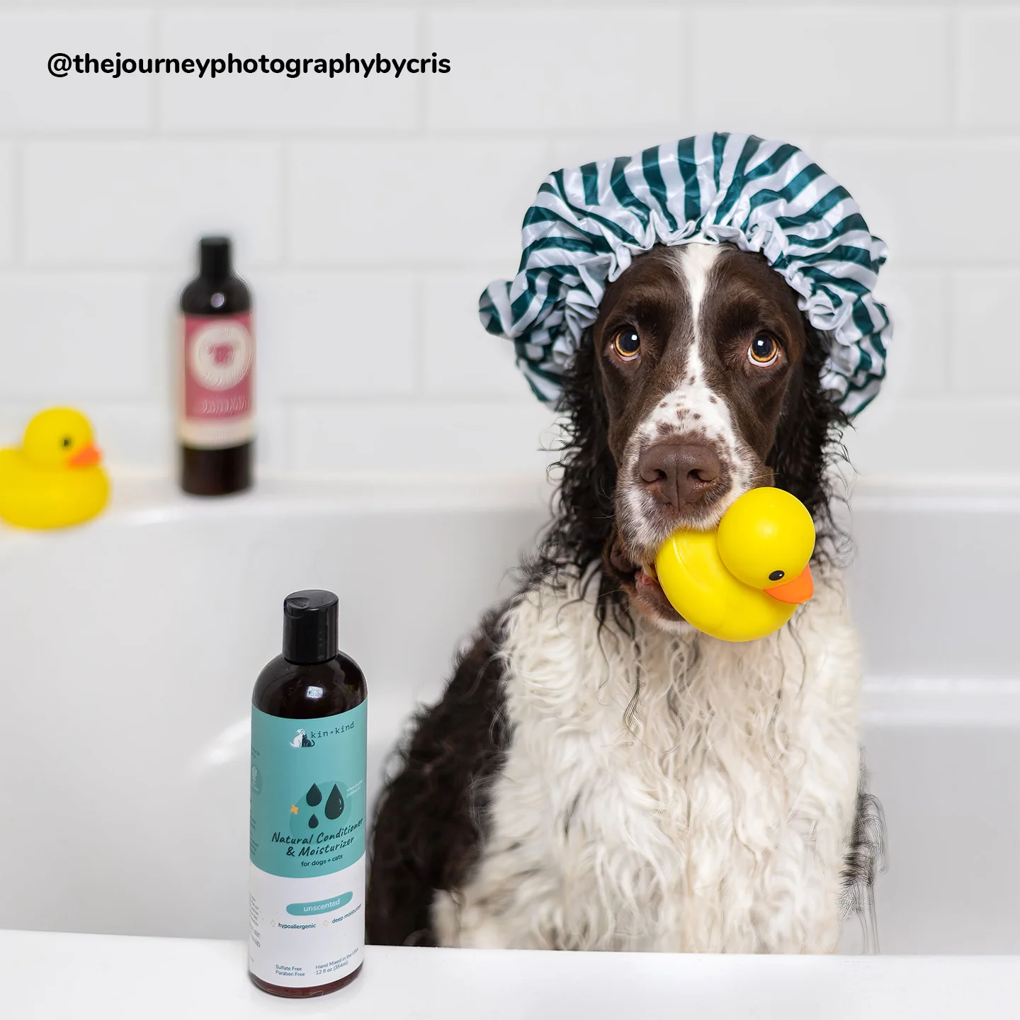 Natural Moisturizing Conditioner for Dogs & Cats - Image 5
