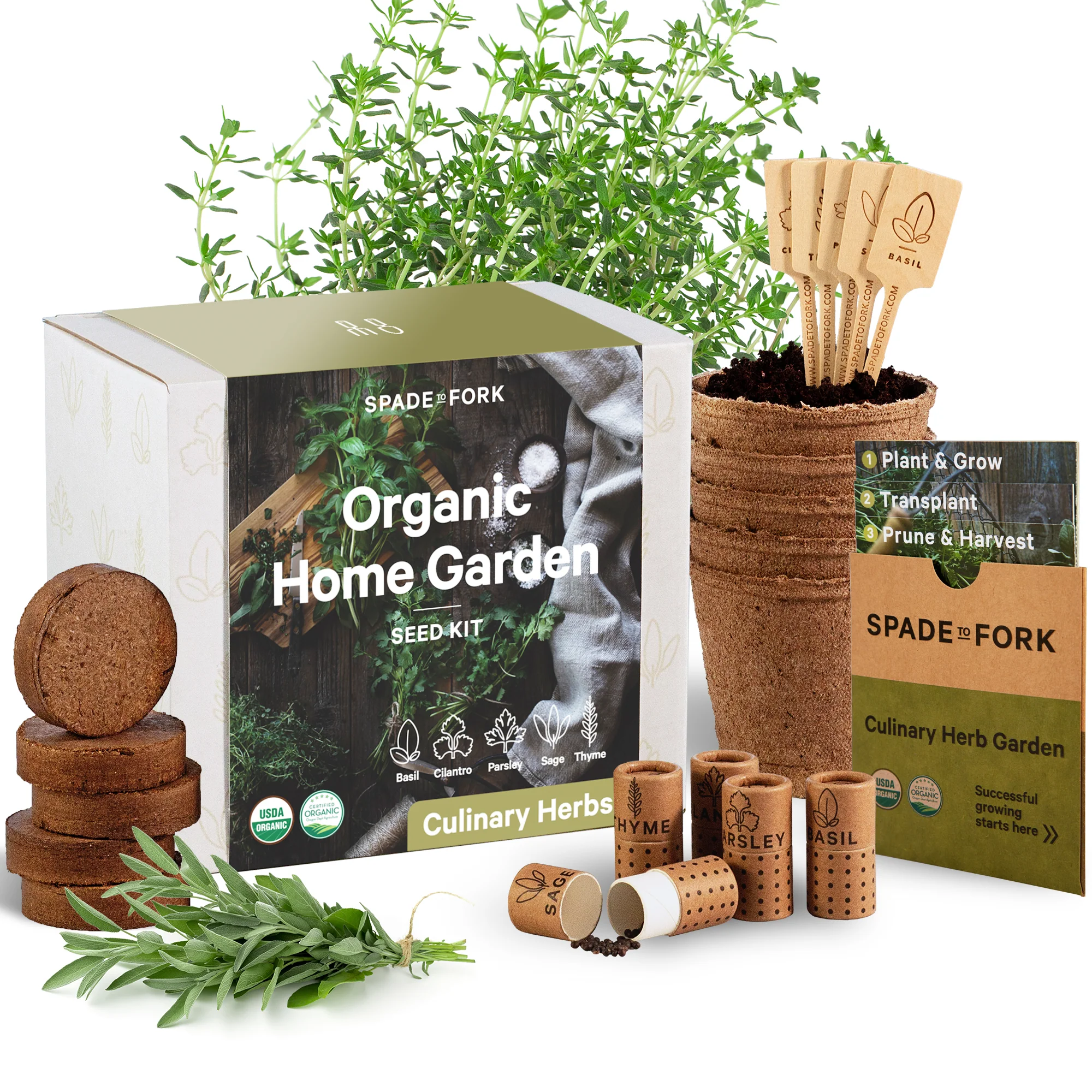 Organic Culinary Herbs Kit - Includes 100% USDA Organic Certified and Non-GMO Seeds - Image 4
