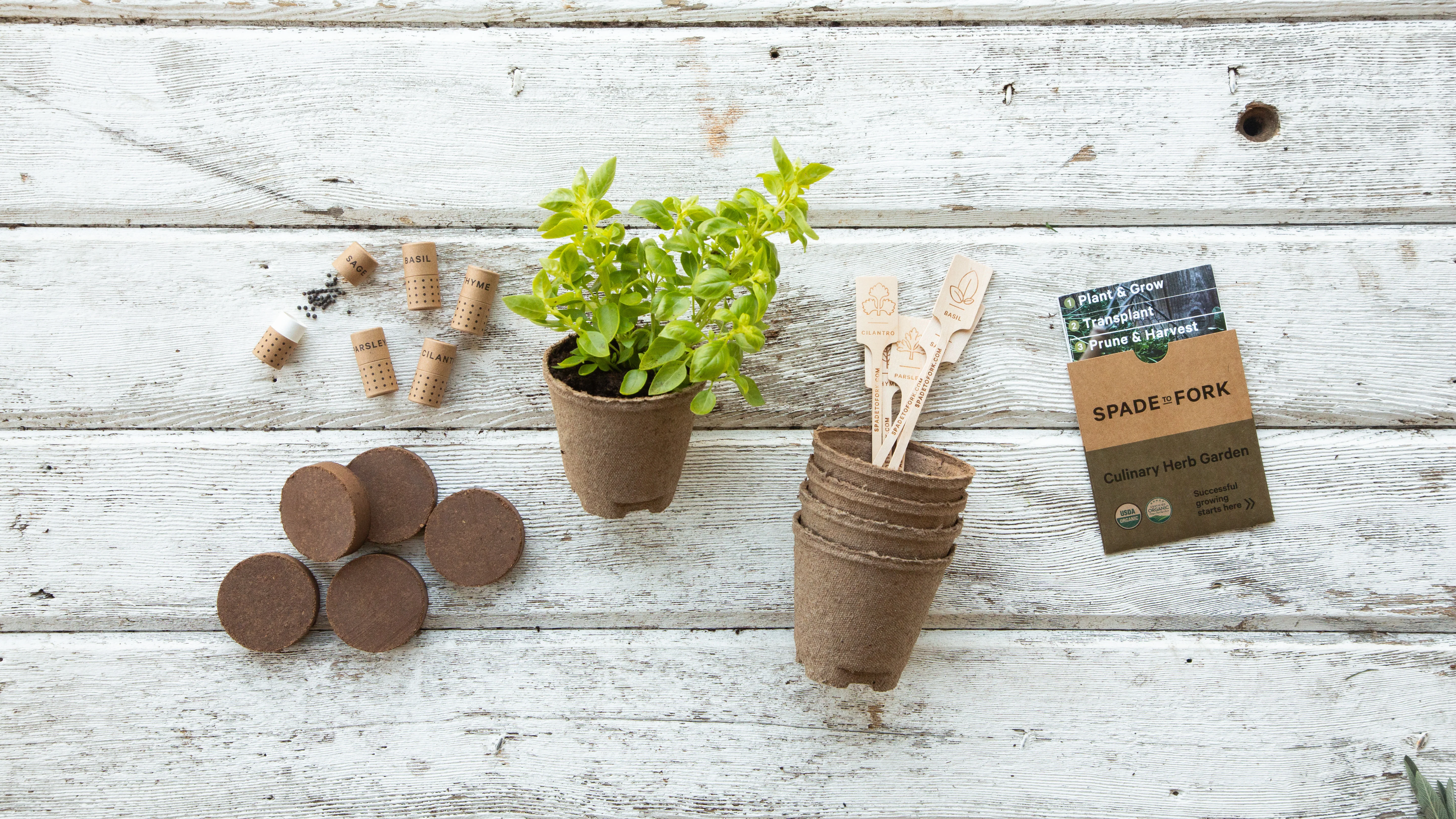 Organic Culinary Herbs Kit - Includes 100% USDA Organic Certified and Non-GMO Seeds - Image 5