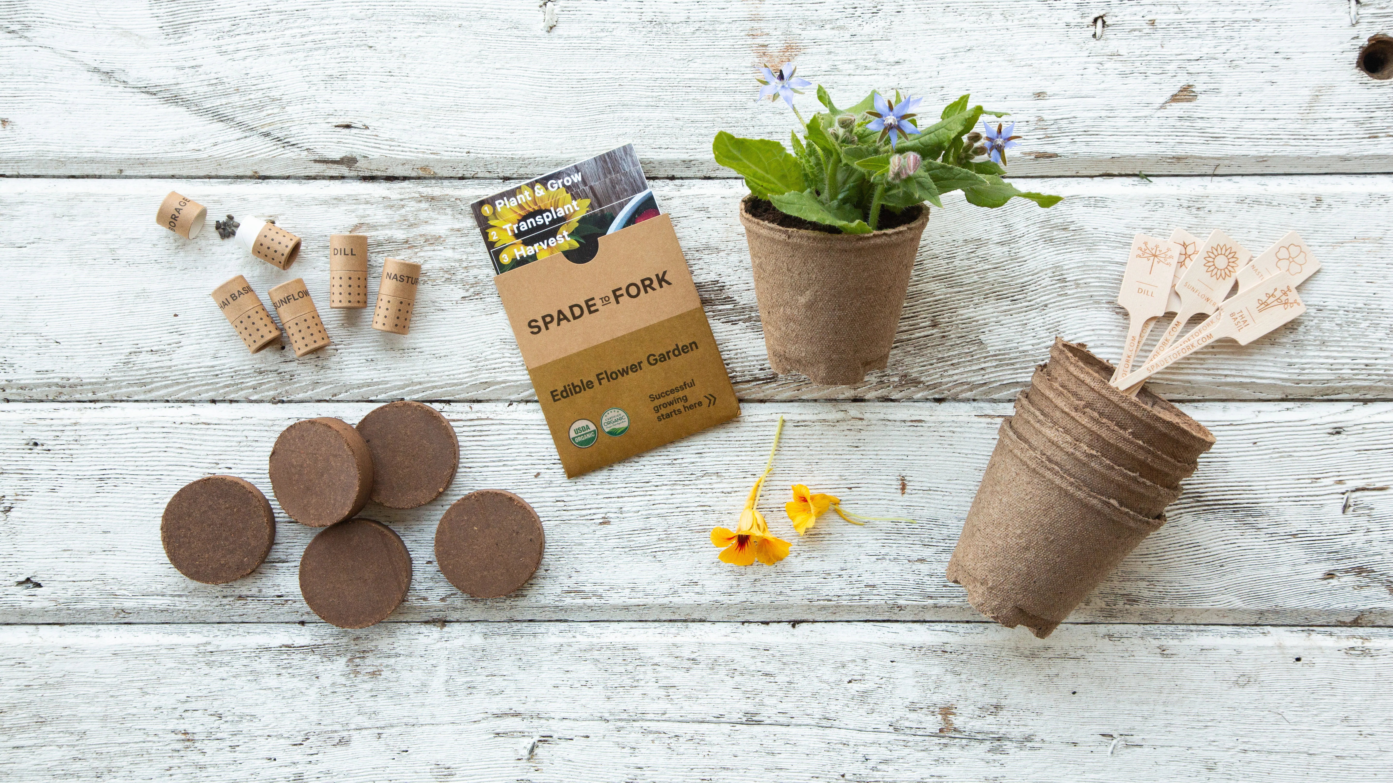 Organic Edible Flower Garden Kit - Includes 100% USDA Organic Certified and Non-GMO Seeds - Image 5