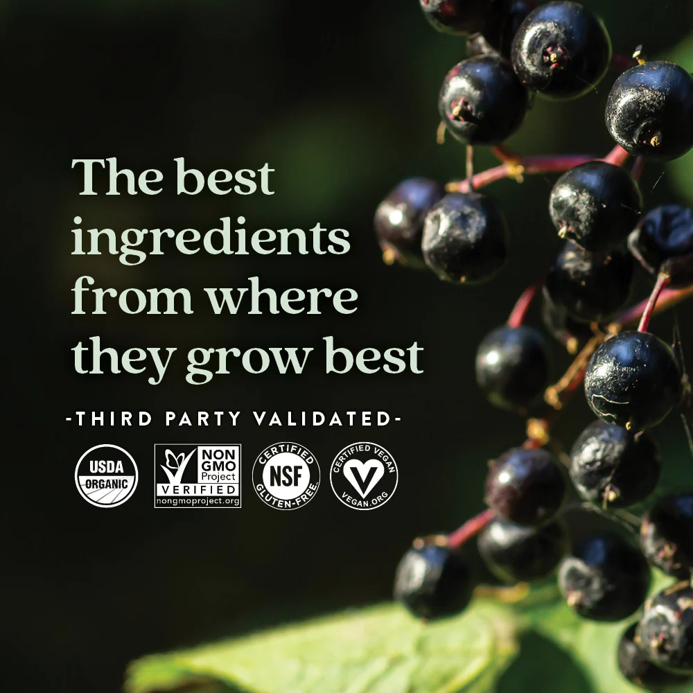 Elderberry Gummies, Organic Whole-Food Gummies for Immune Support - Image 11