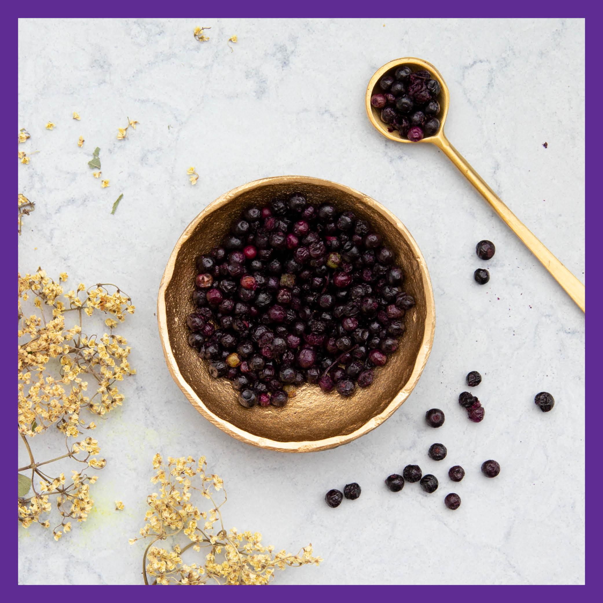 Elderberry Gummies, Organic Whole-Food Gummies for Immune Support - Image 7
