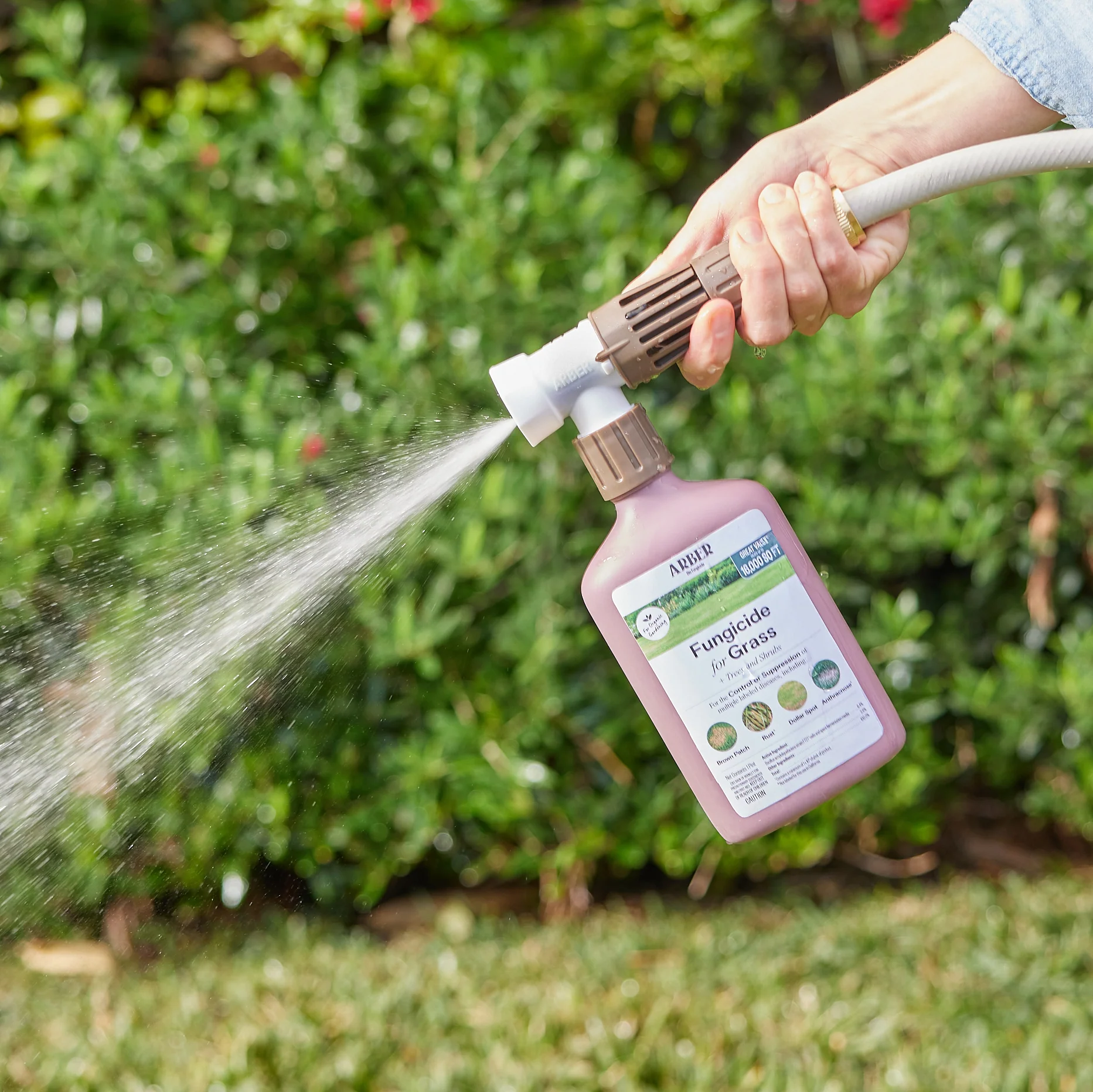 Organic Fungicide for Lawn, Tree and Shrubs, RTS - Image 5