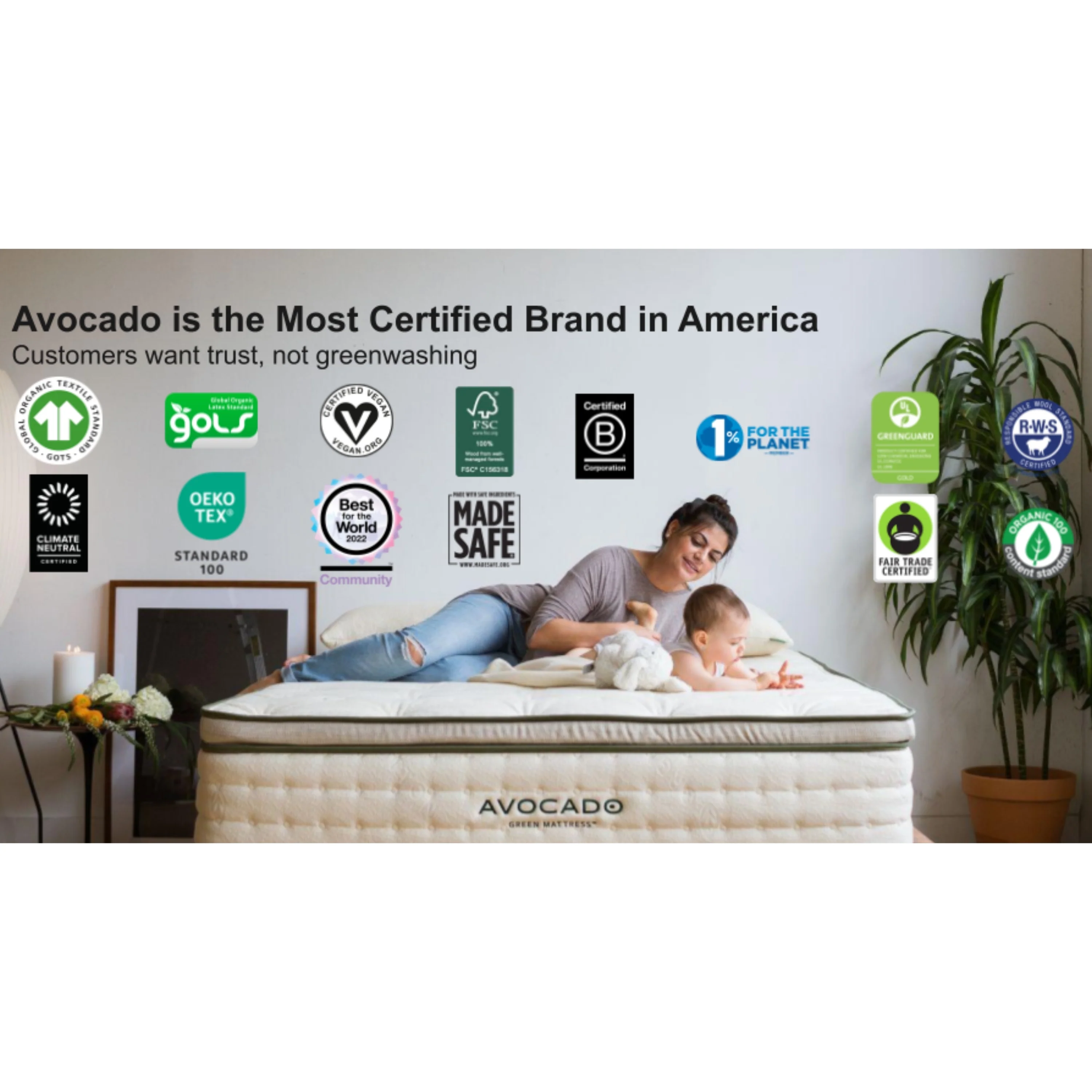 Organic Cotton Crib Sheet - Image 5
