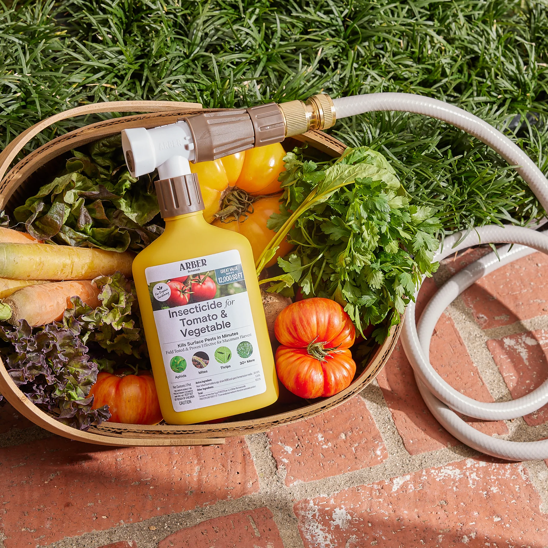 Organic Insecticide for Tomato Fruit & Vegetables RTS - Image 4