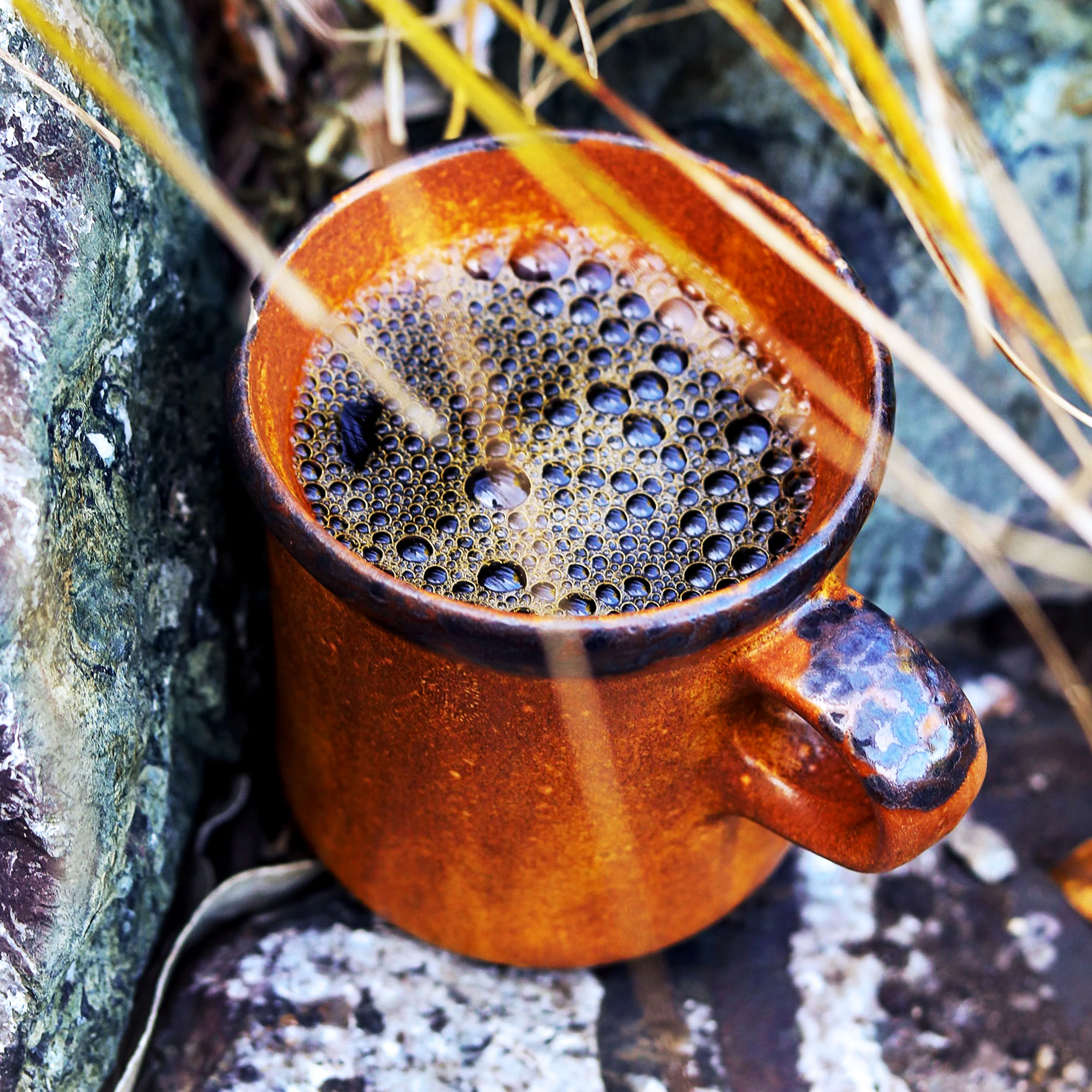 Organic Mendocino Vienna Whole Bean Coffee - Image 7