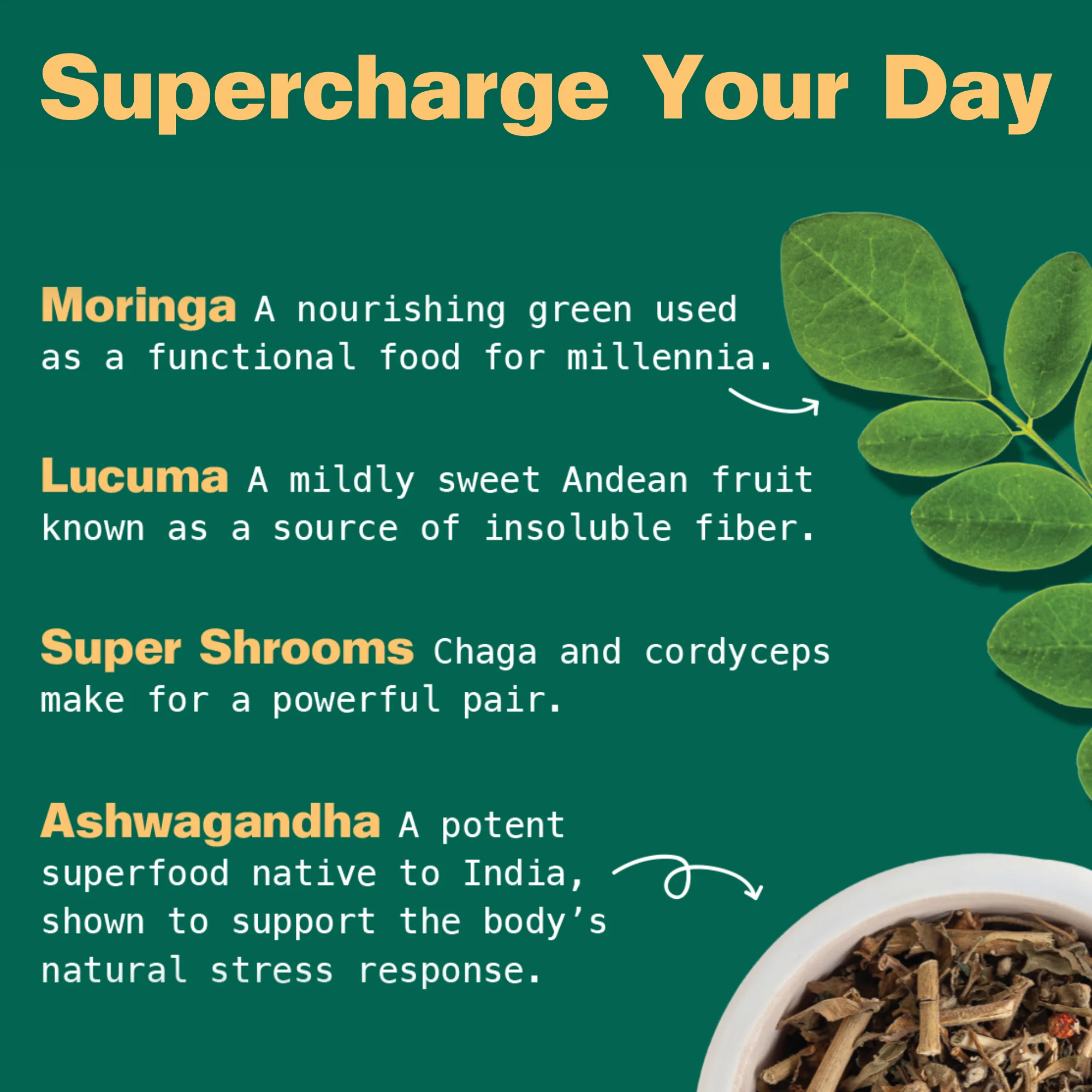 Organic Moringa Green Smoothie + Protein - Image 14