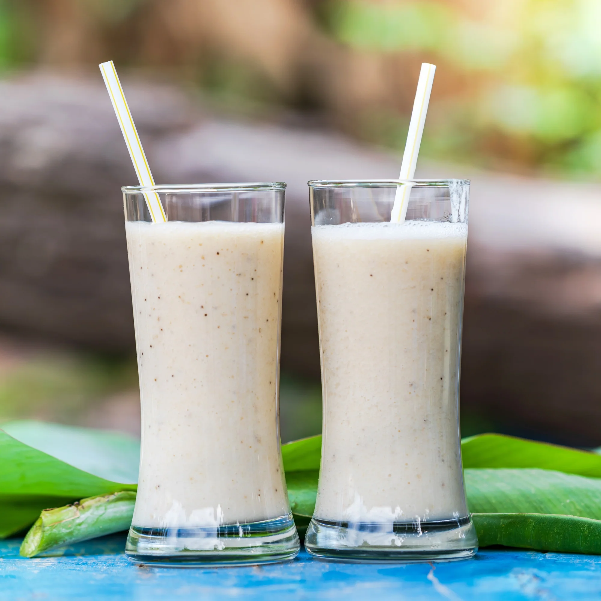 Organic Moringa Green Smoothie + Protein - Image 9